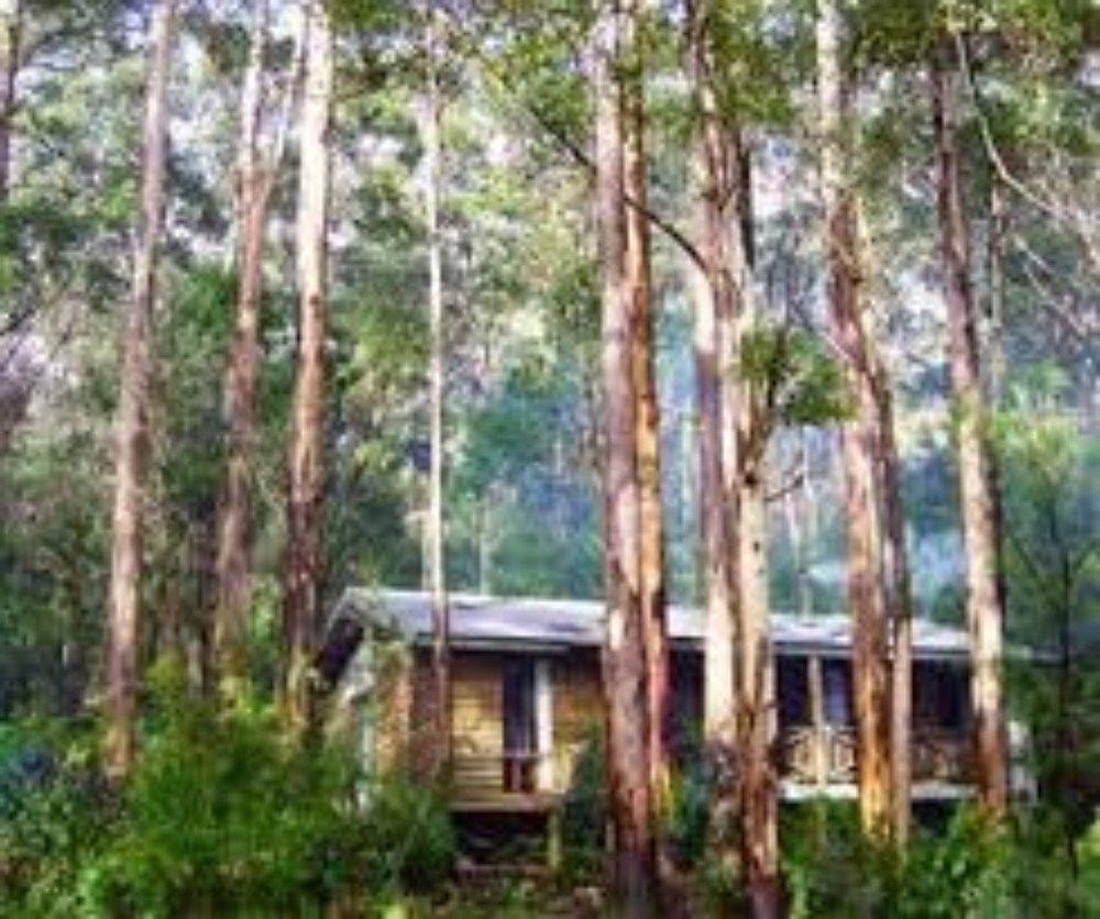 RAC Karri Valley Resort