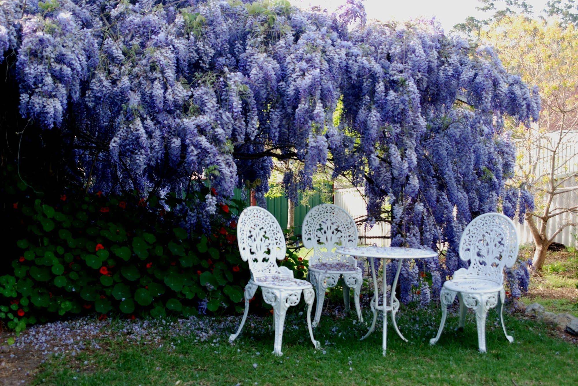 Pemberton Old Picture Theatre Holiday Apartments