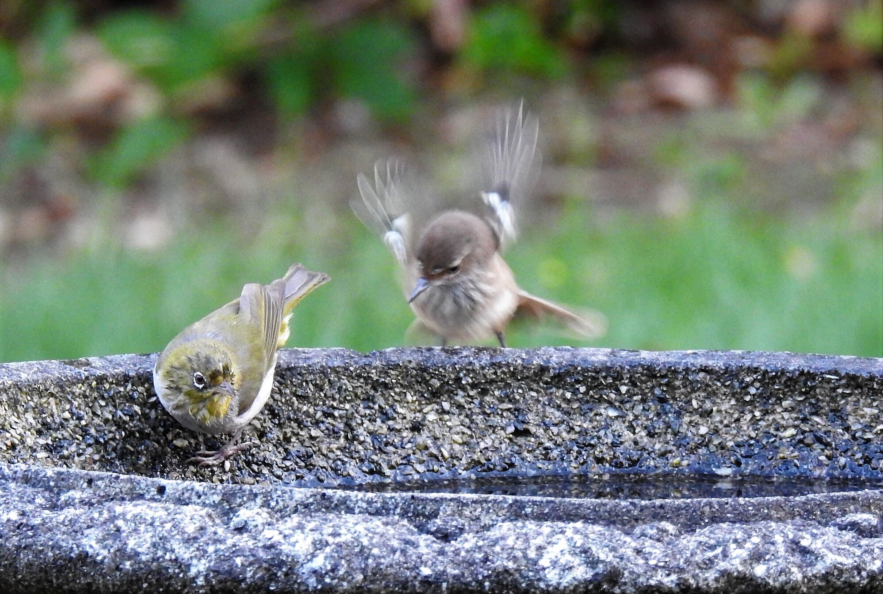 Serenity House Pemberton