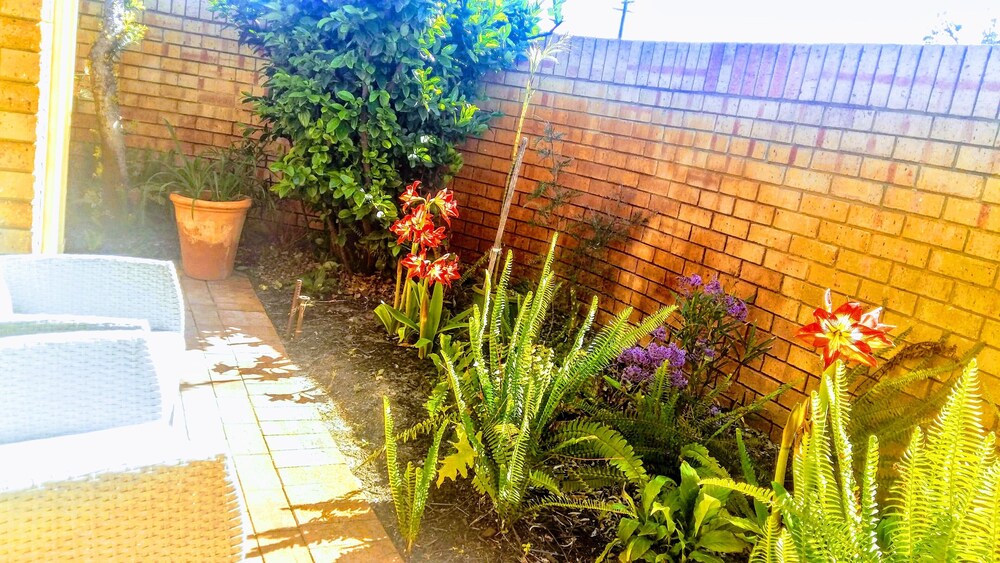 Camelias Boutique Cottage In Dianella