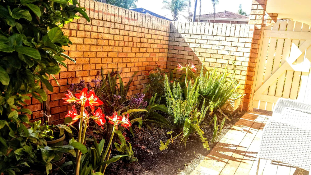 Camelias Boutique Cottage In Dianella