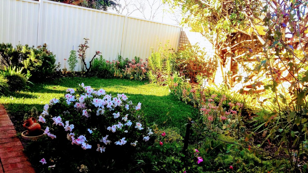 Camelias Boutique Cottage In Dianella