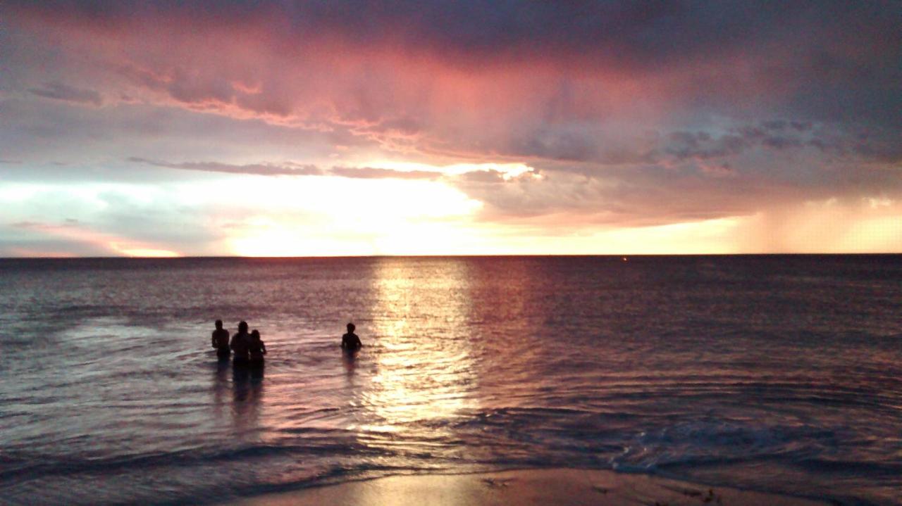 Palms Bed & Breakfast