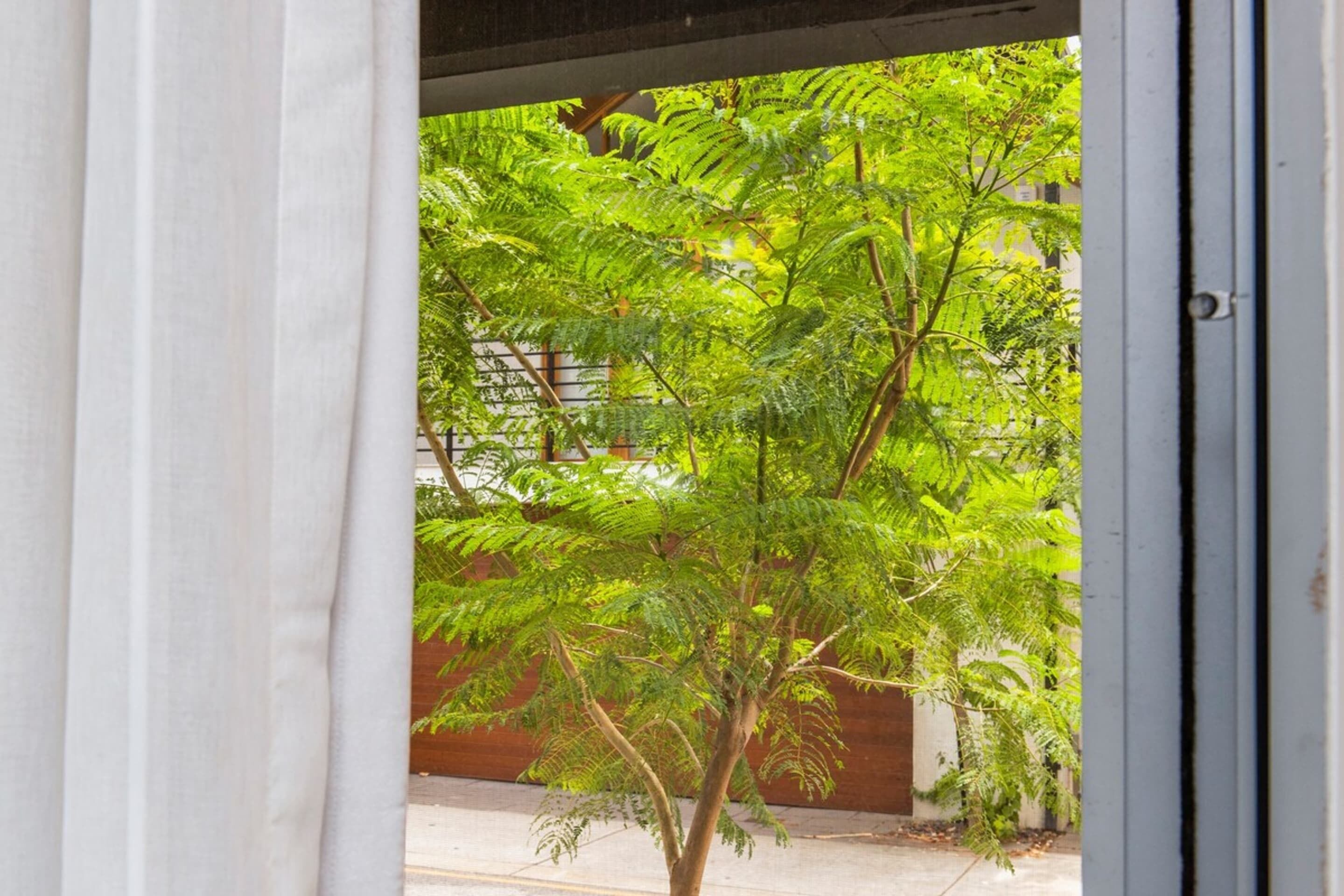 The Nest On Newcastle