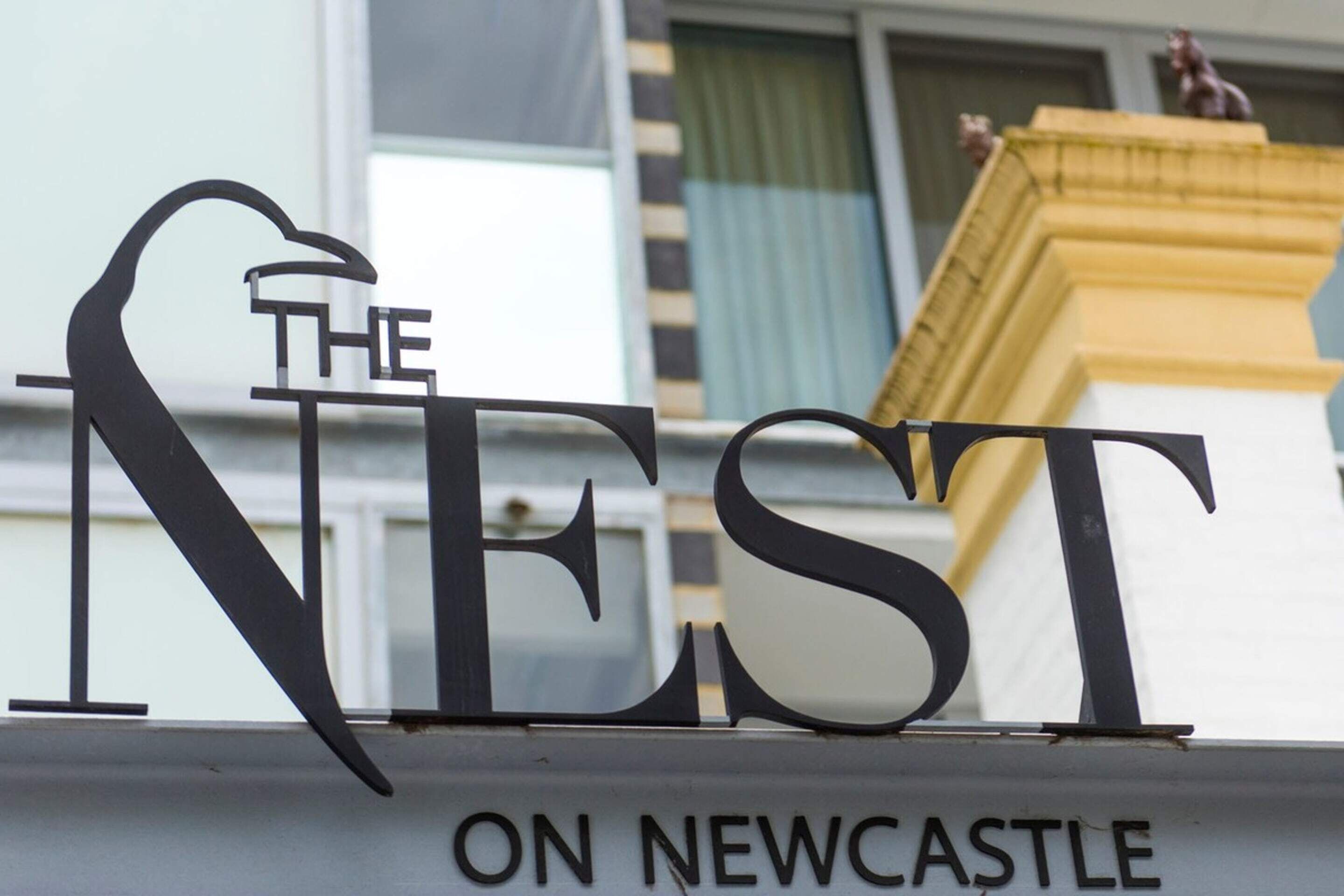 The Nest On Newcastle