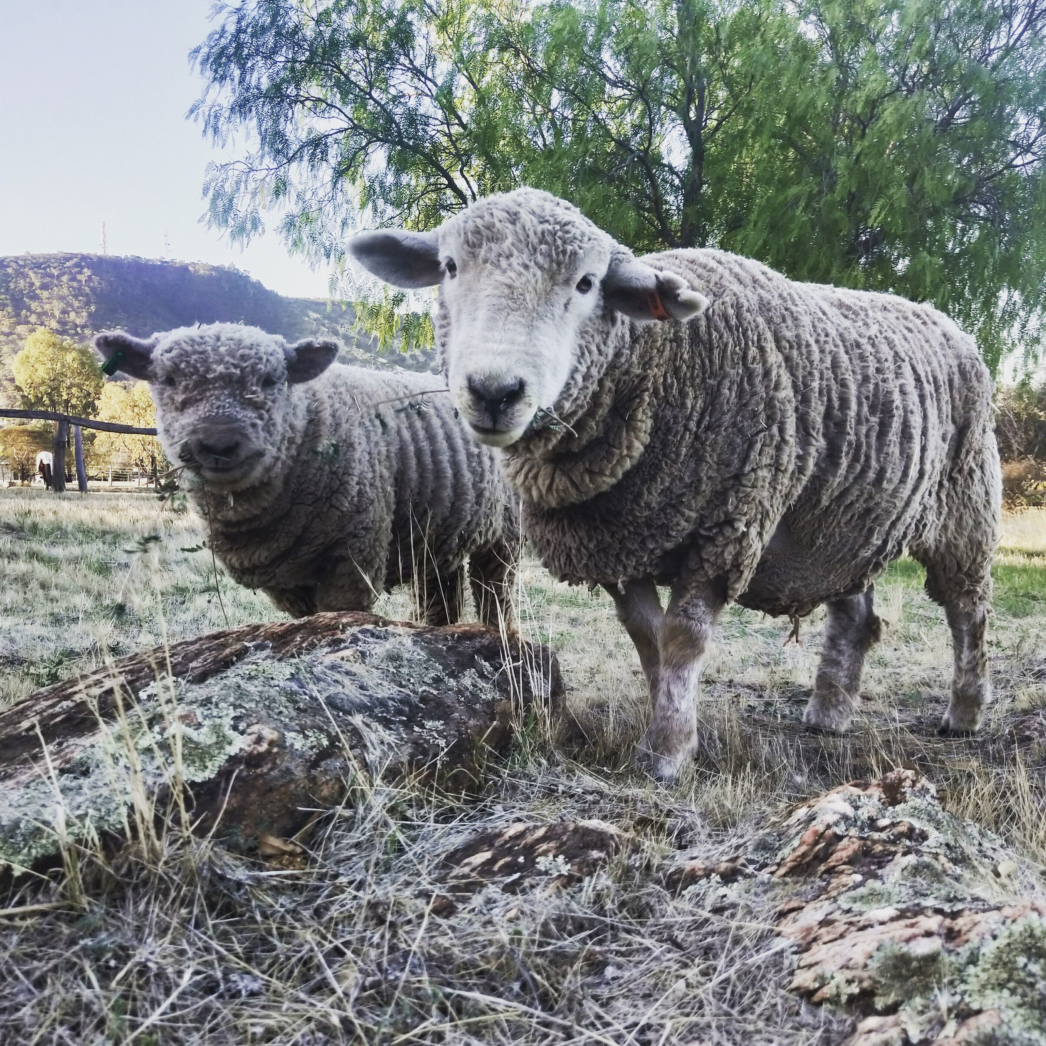 Hope Farm Guest House