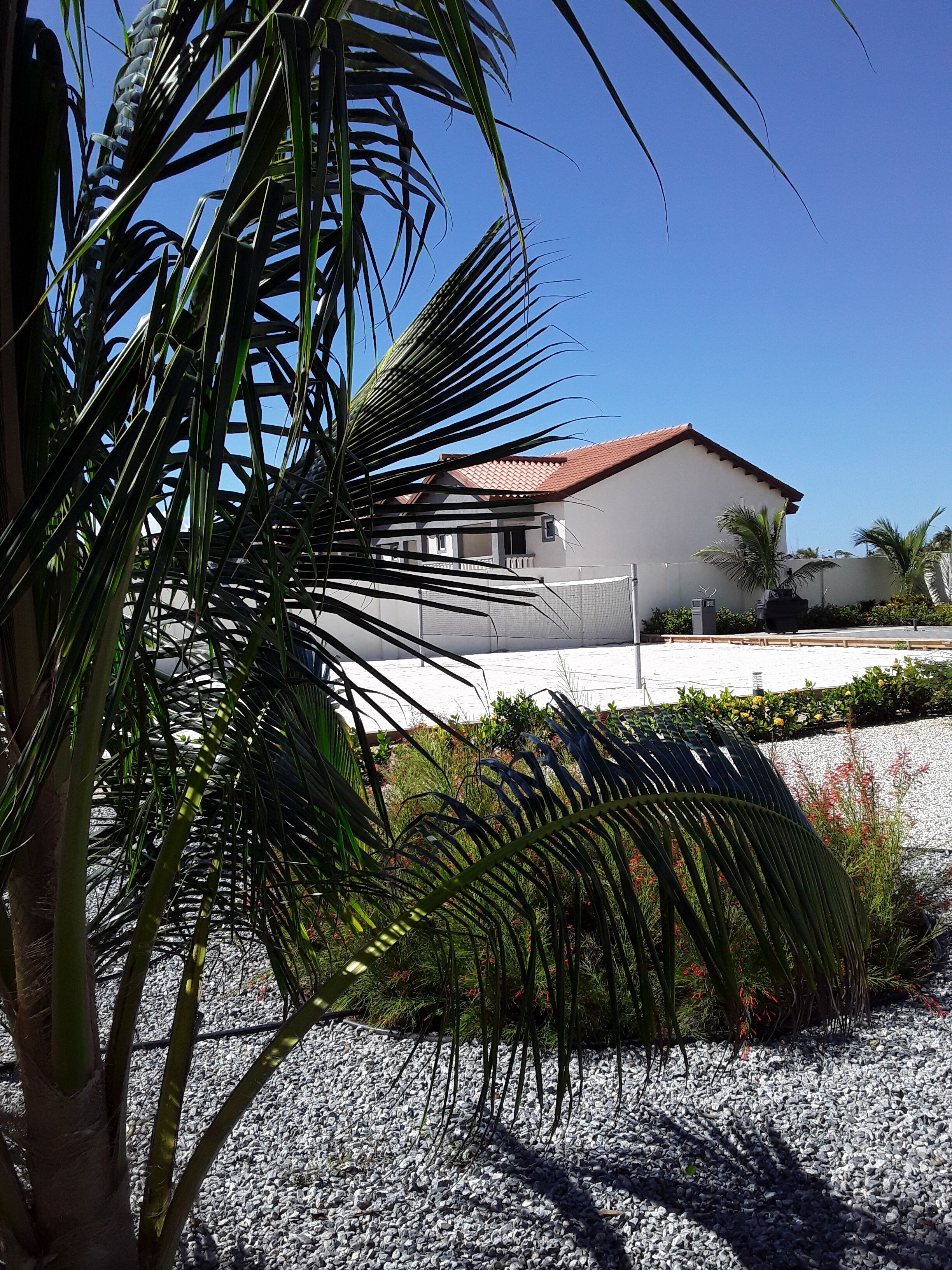 Aruba’s Life Residences