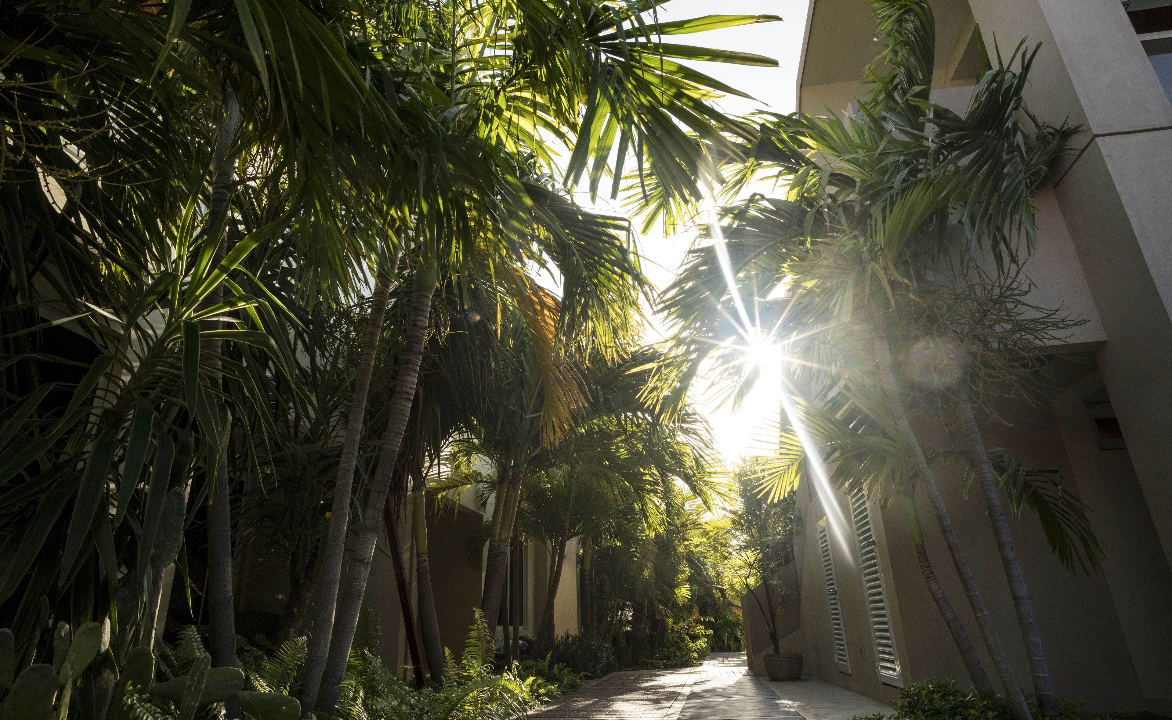 Costa Esmeralda Village