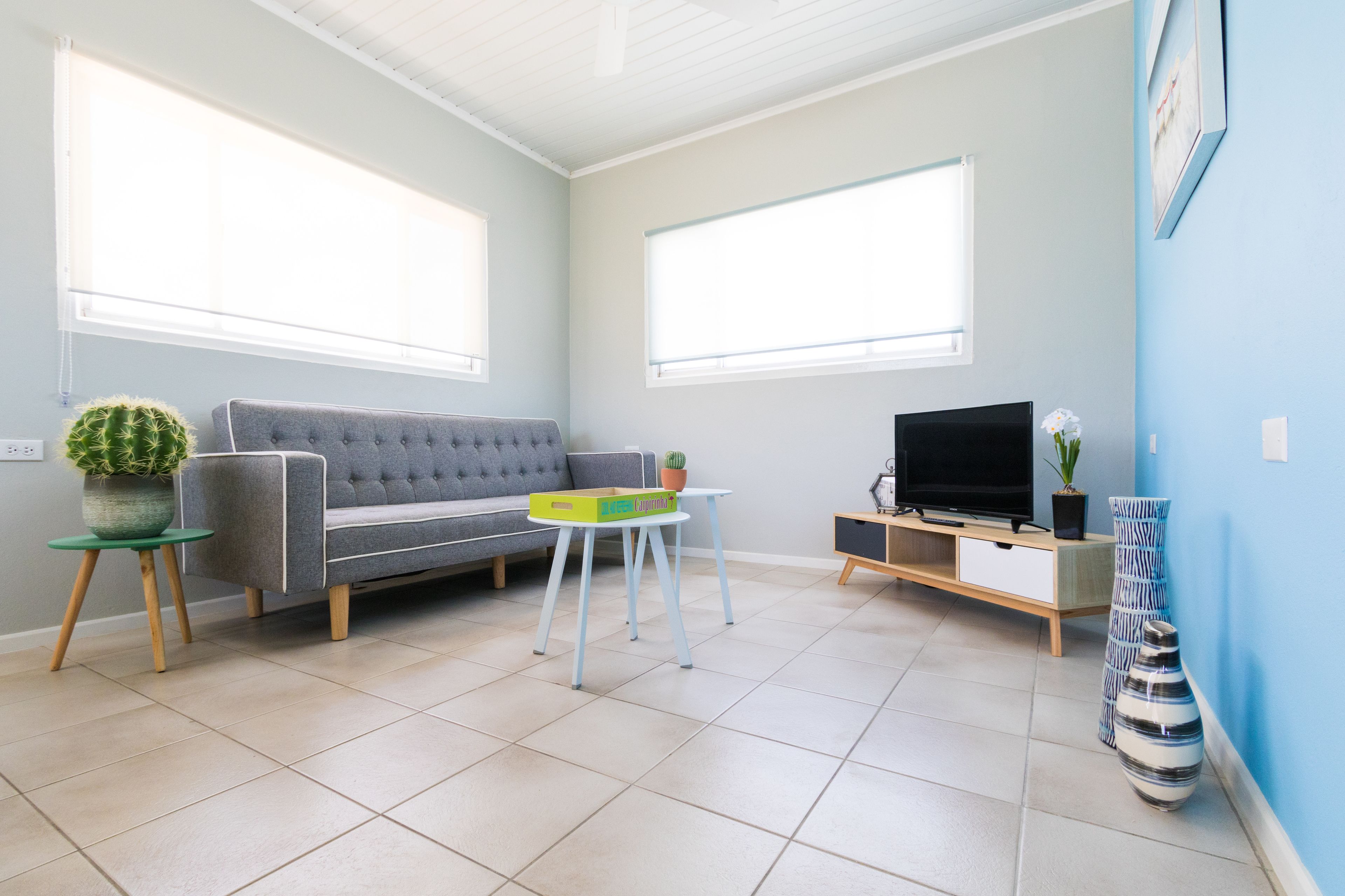 Little Cactus Apartments Aruba