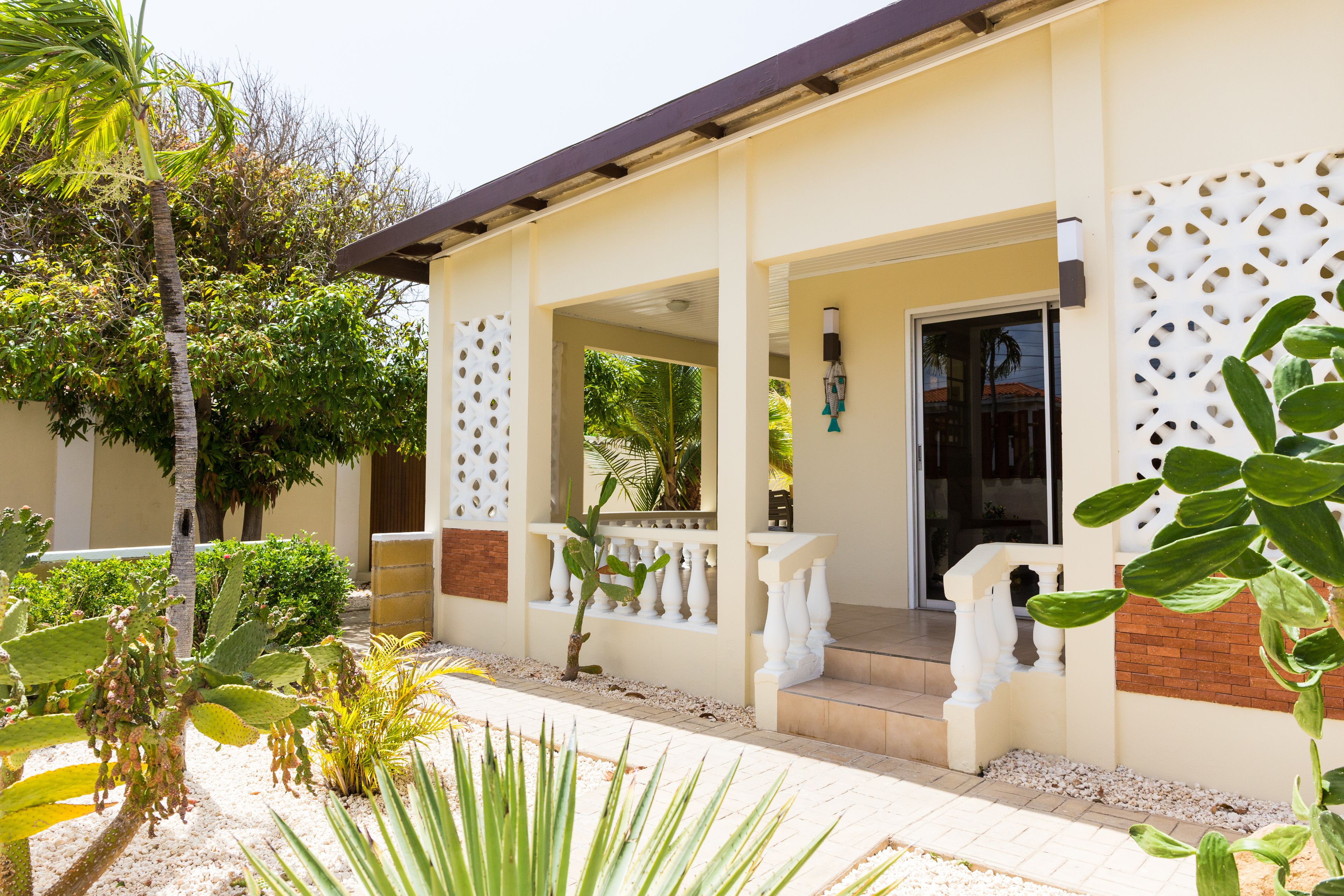 Little Cactus Apartments Aruba