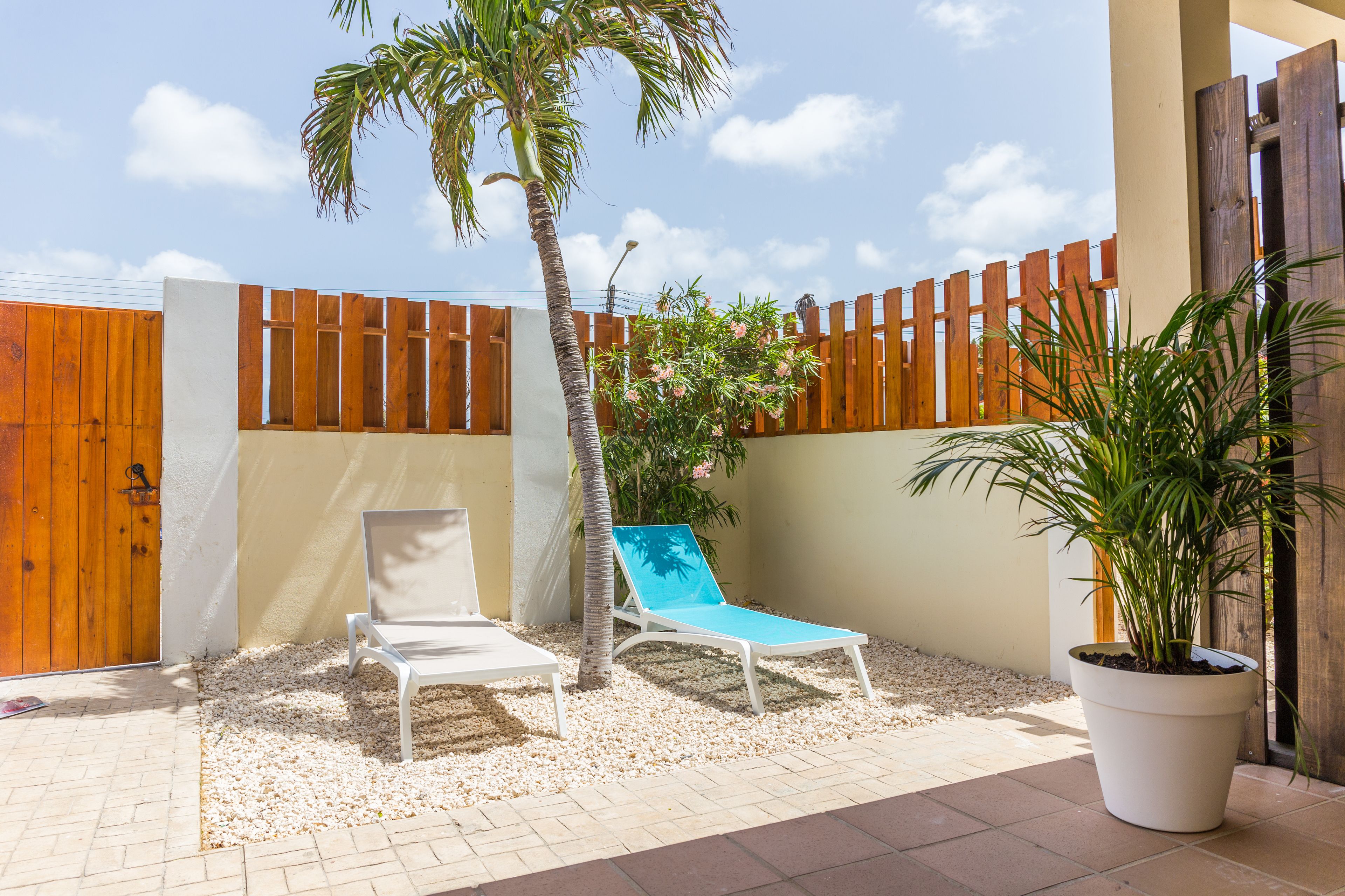 Little Cactus Apartments Aruba