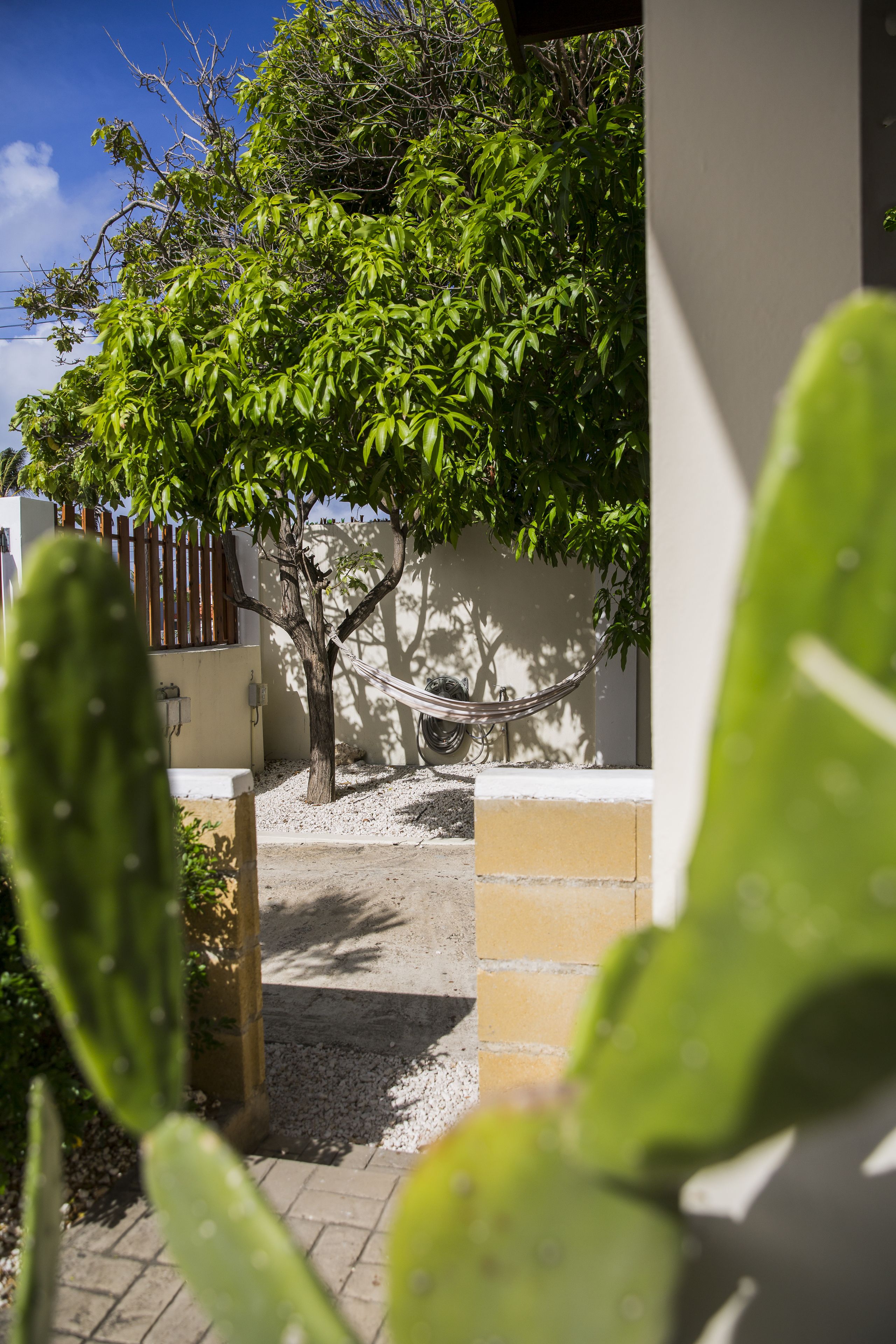 Little Cactus Apartments Aruba