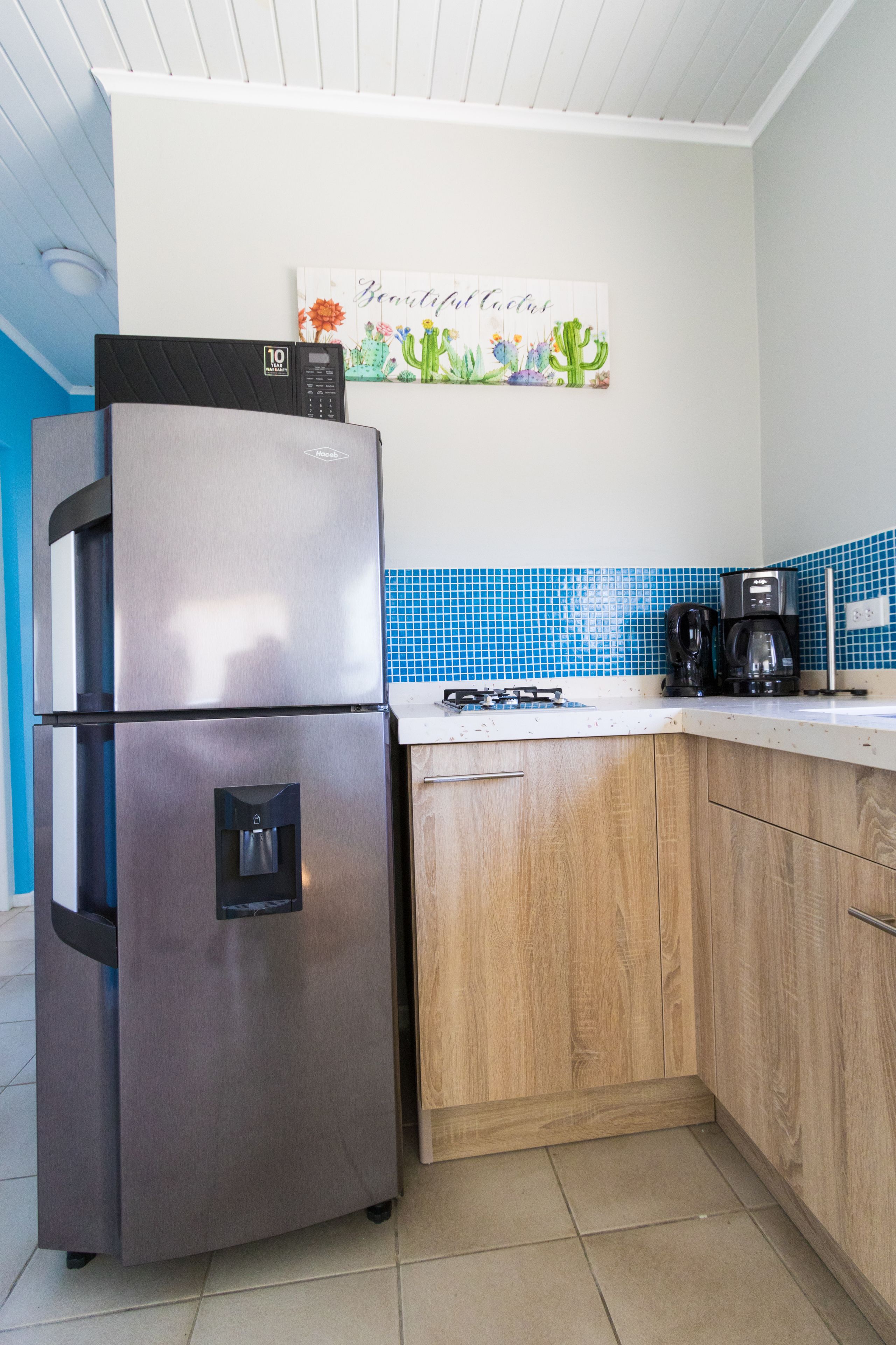 Little Cactus Apartments Aruba