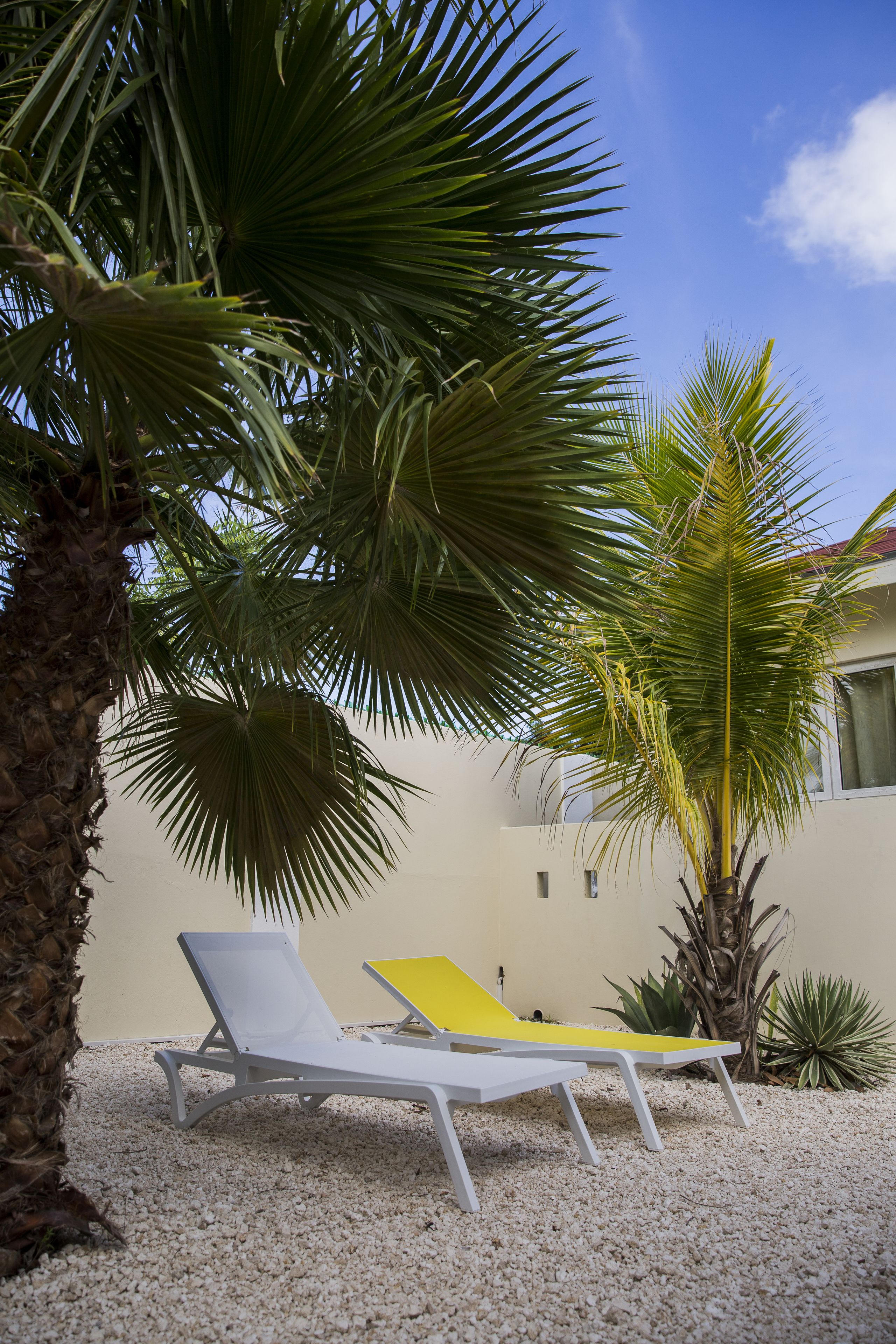 Little Cactus Apartments Aruba