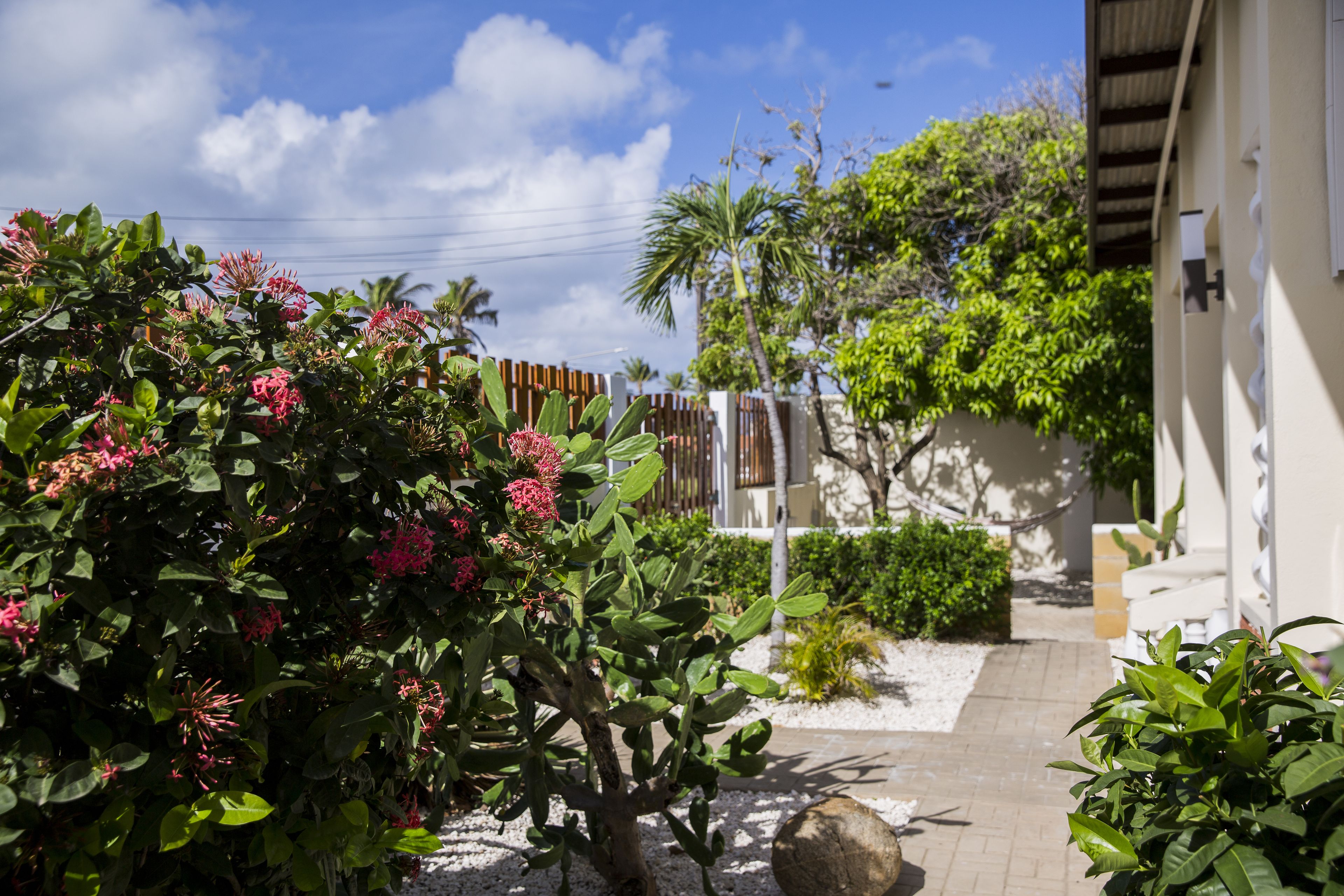 Little Cactus Apartments Aruba