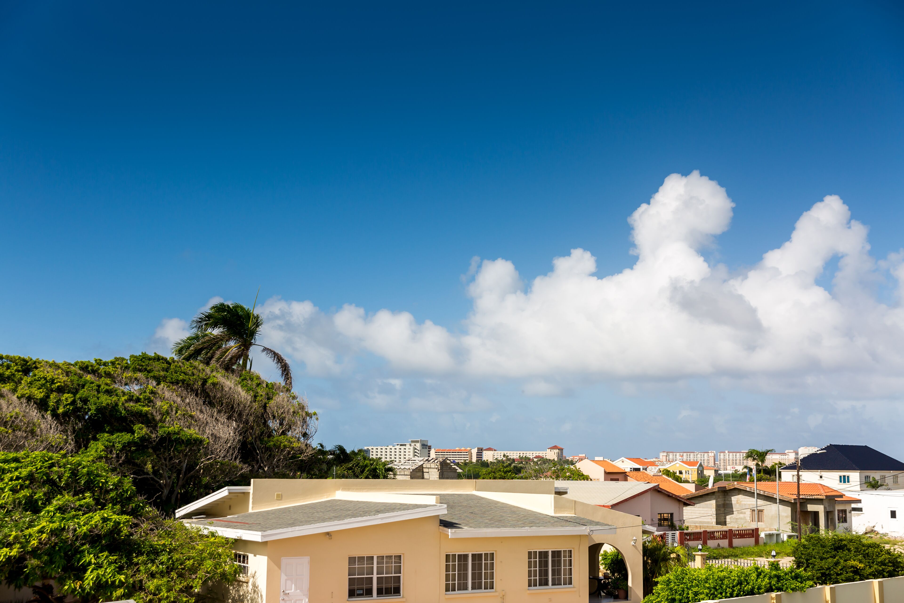 Little Cactus Apartments Aruba