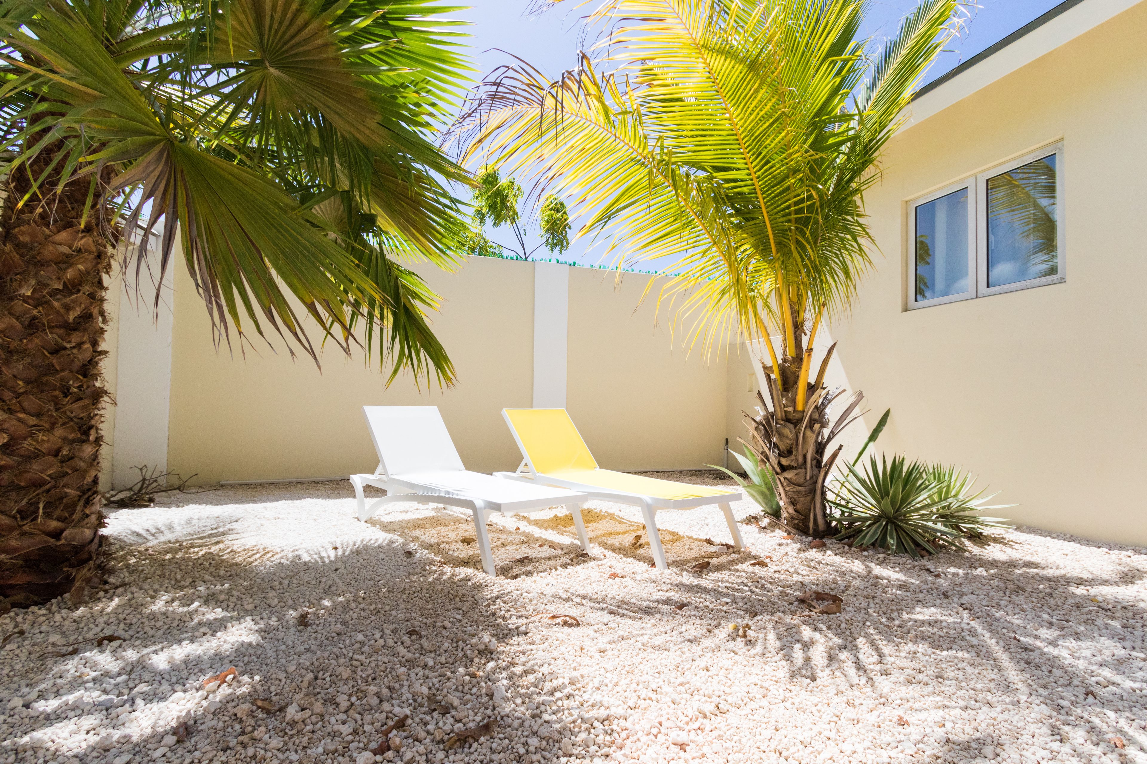 Little Cactus Apartments Aruba