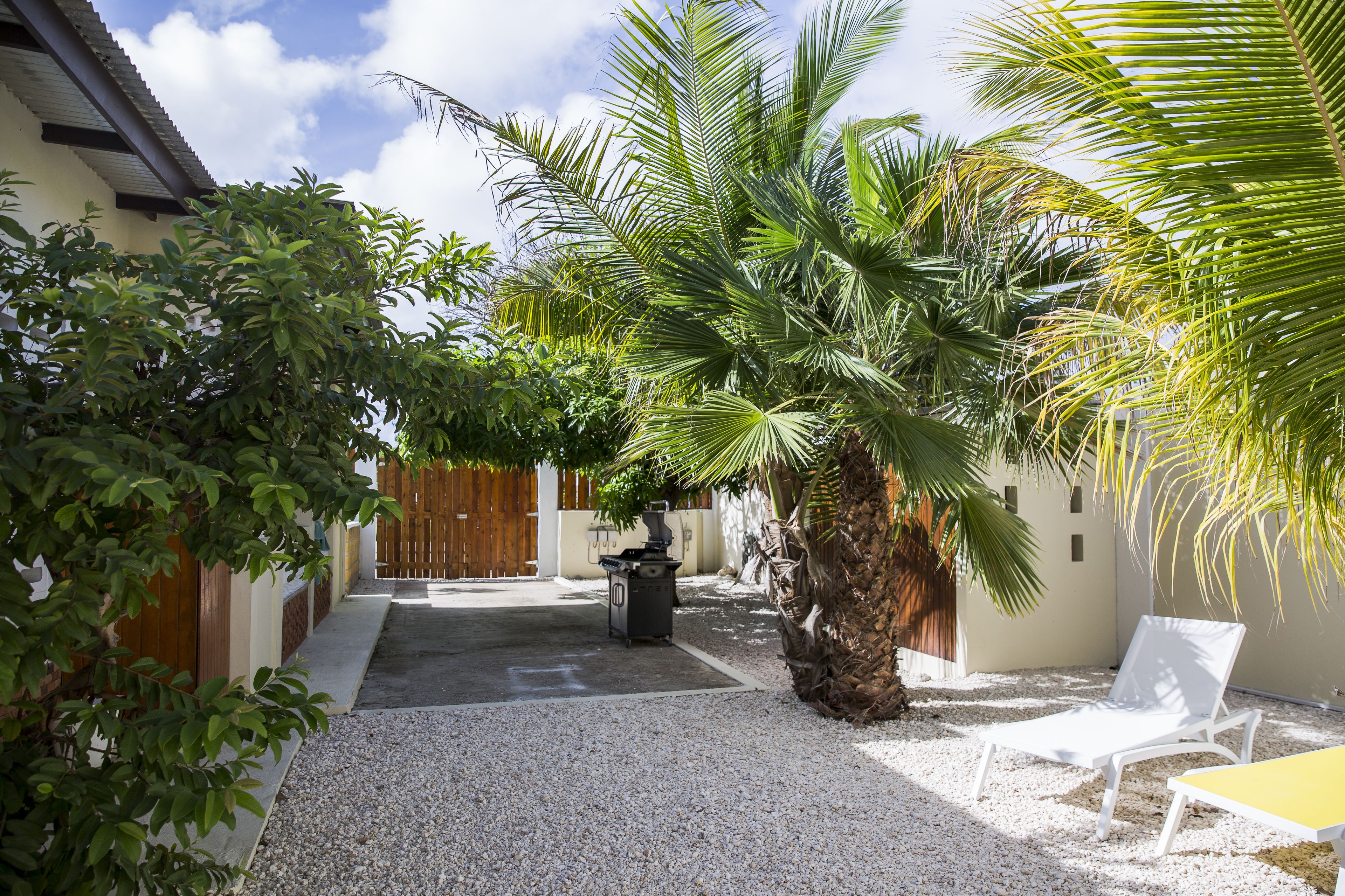 Little Cactus Apartments Aruba
