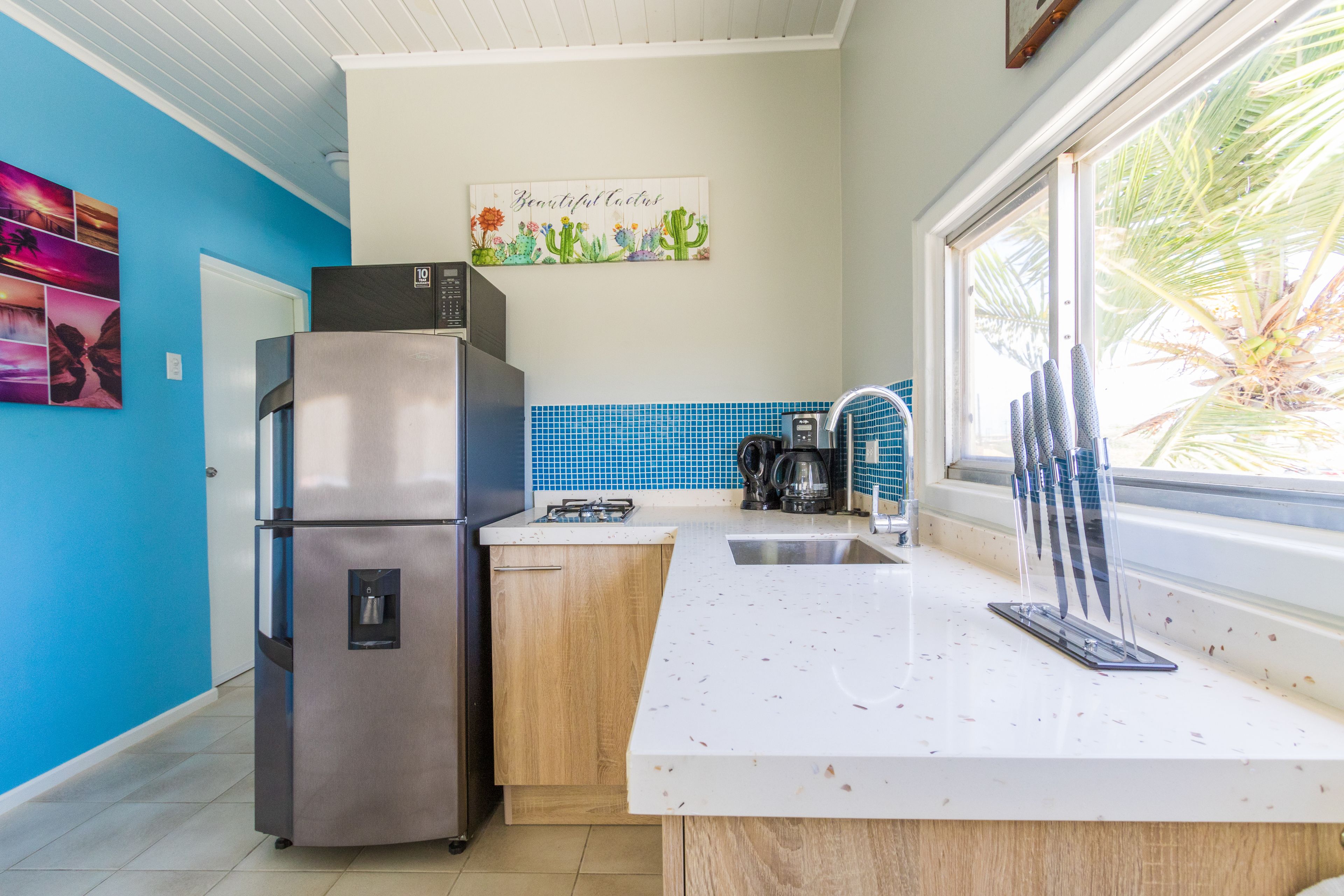 Little Cactus Apartments Aruba