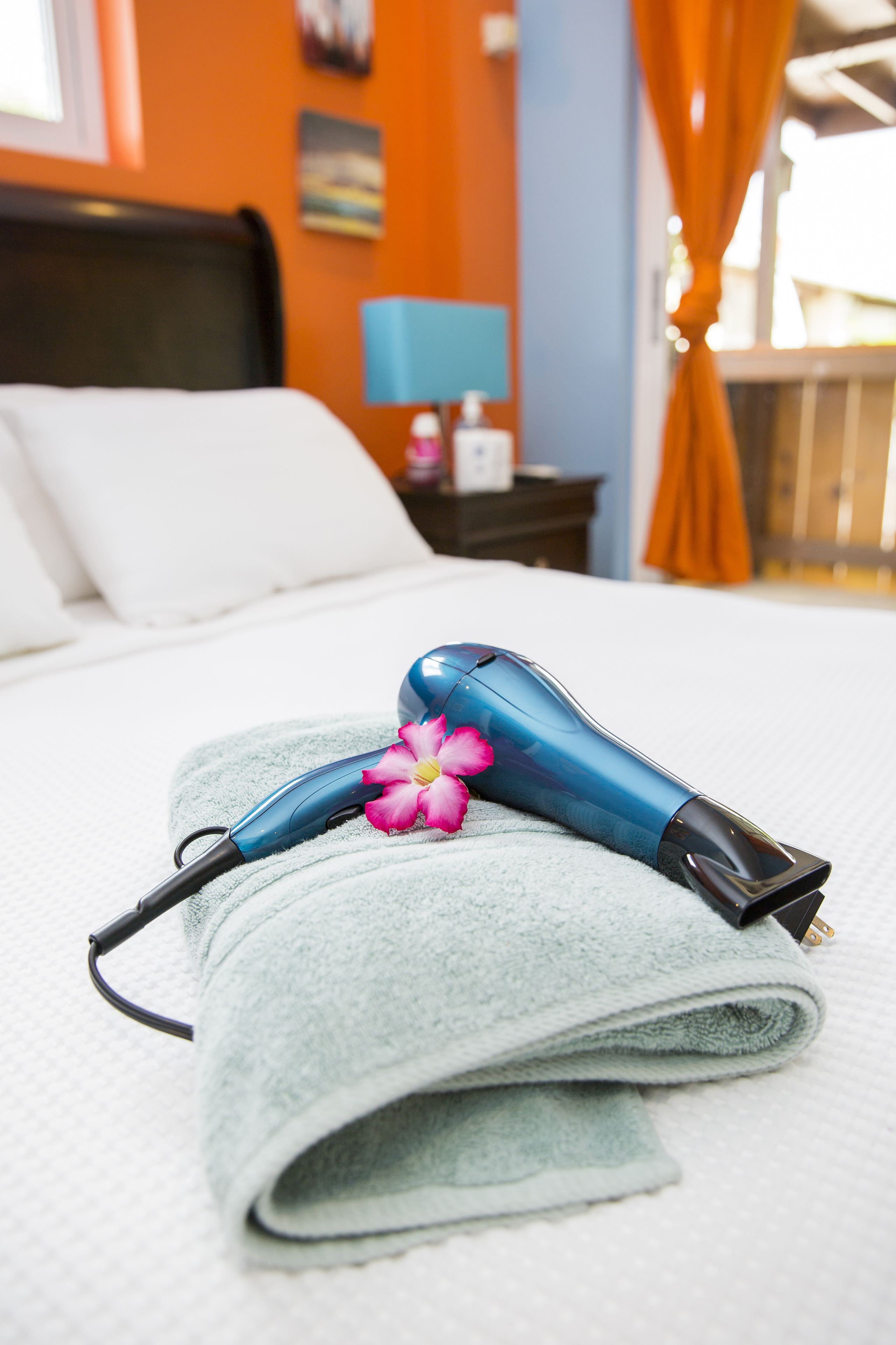 Little Jungle Apartments Aruba