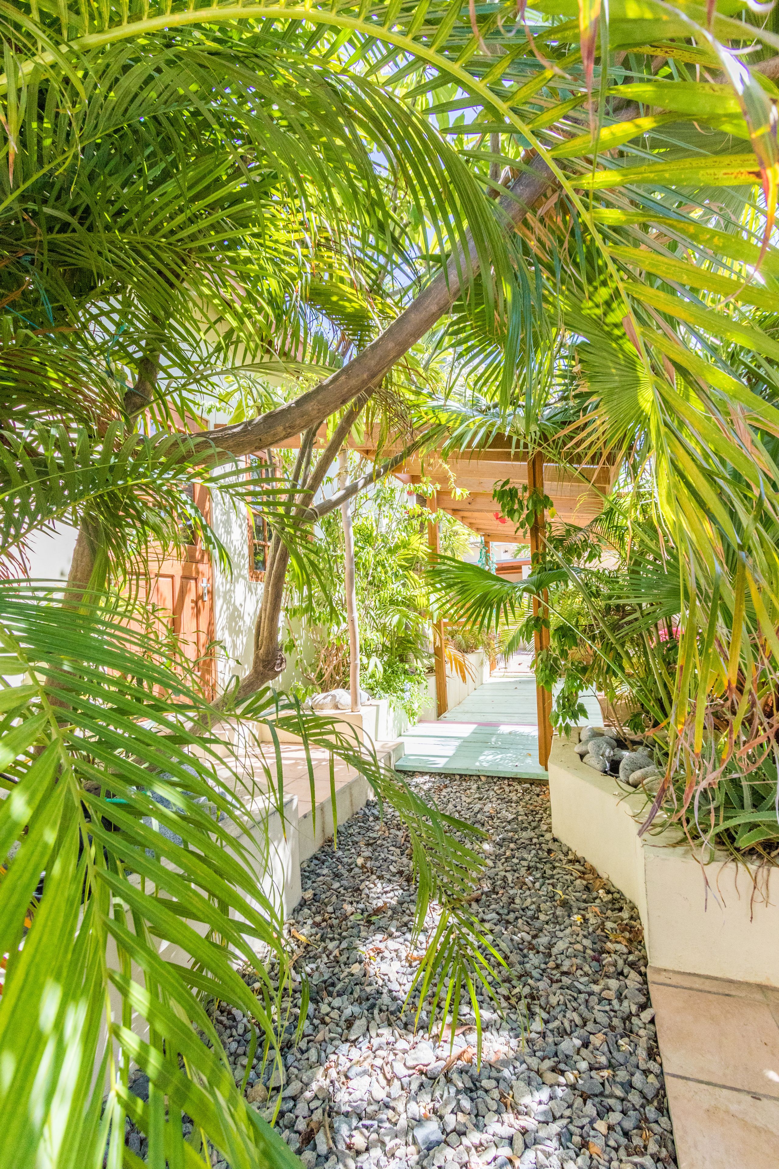 Little Jungle Apartments Aruba