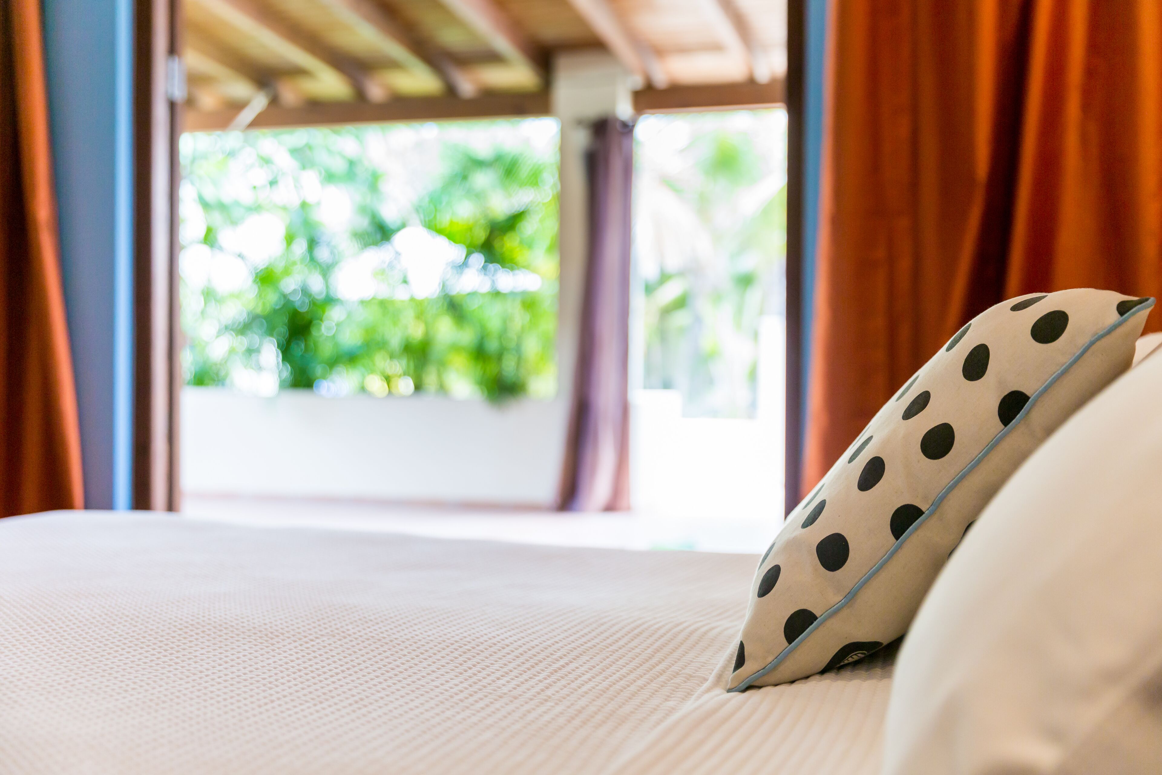 Little Jungle Apartments Aruba