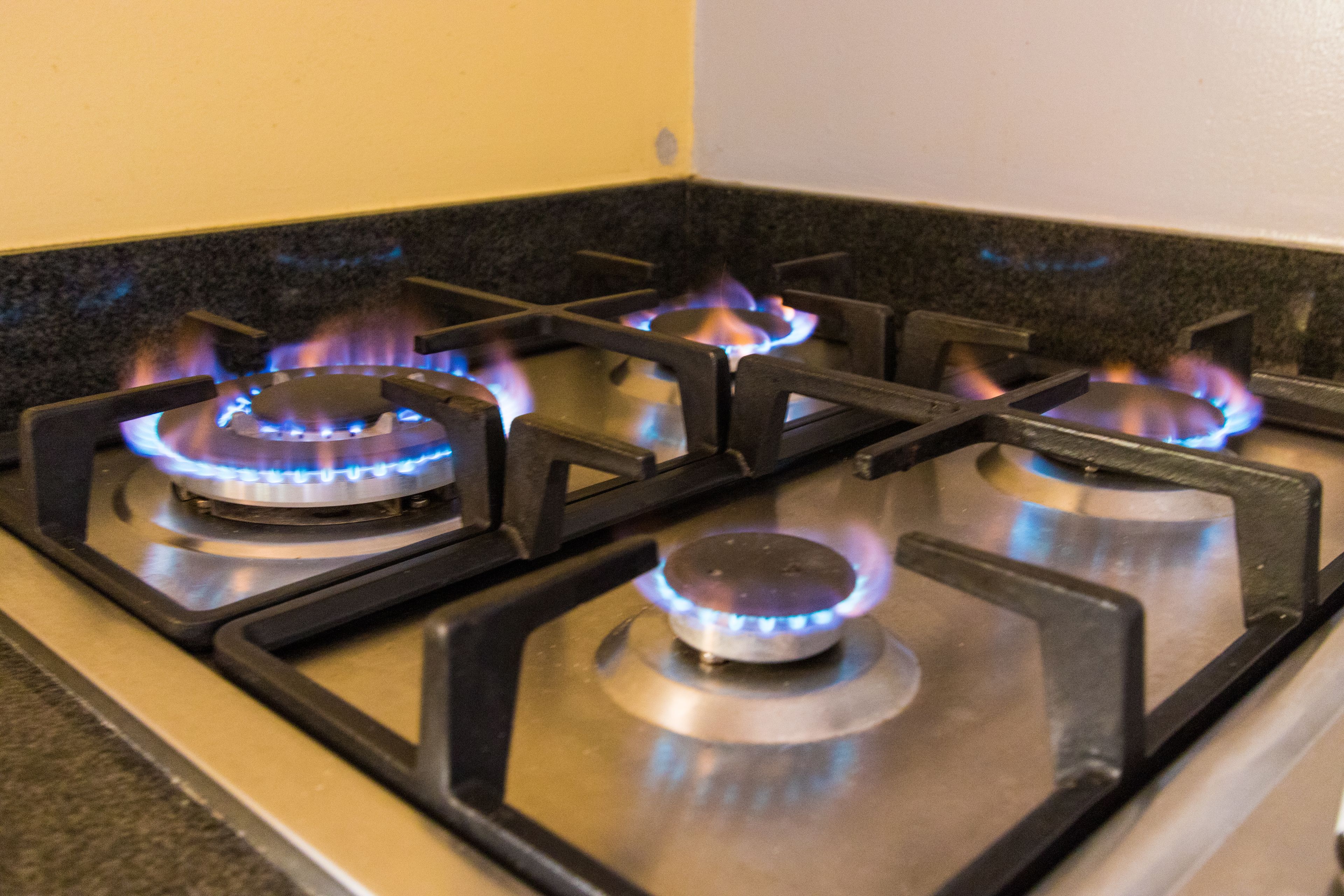 Little Jungle Apartments Aruba