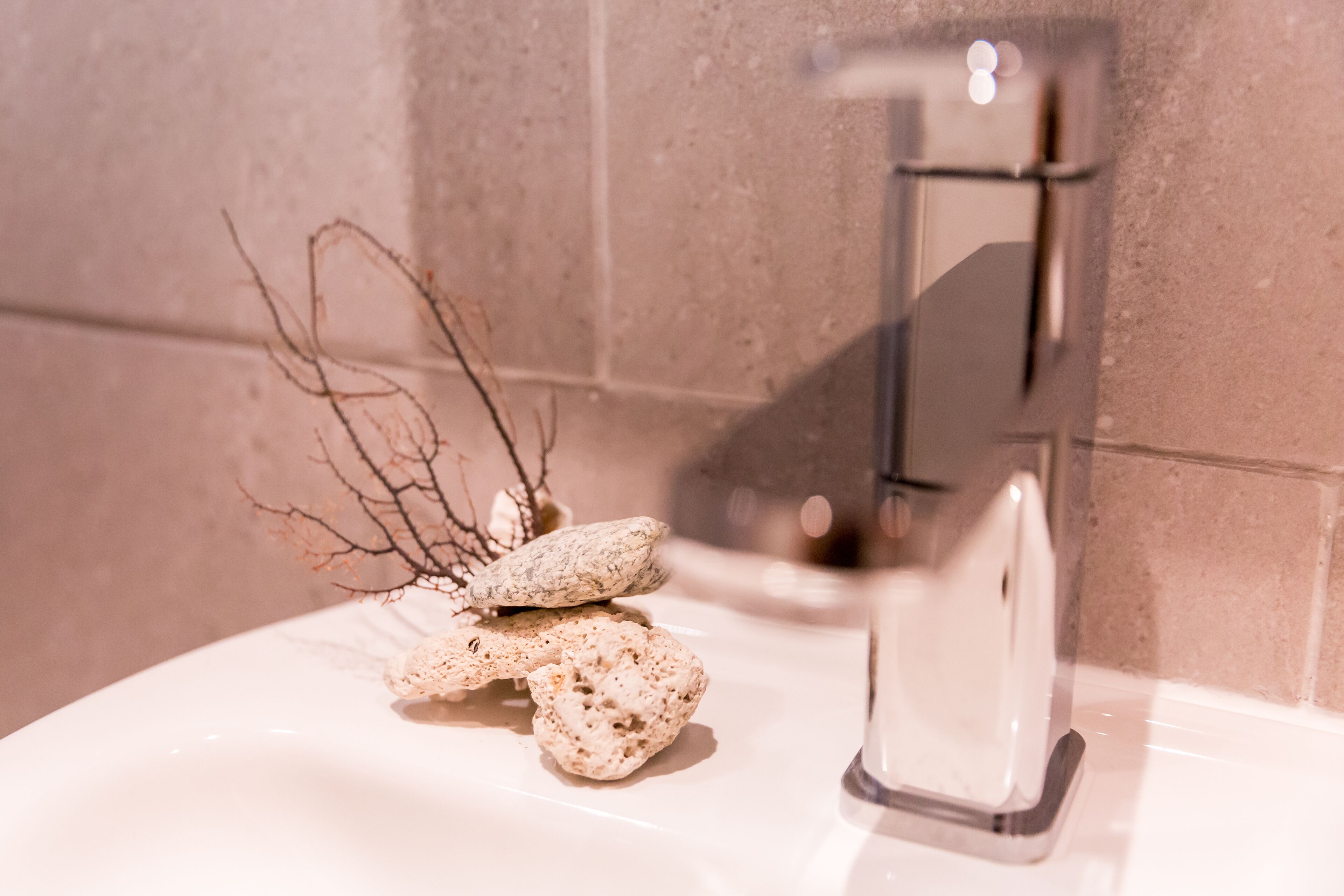 Little Jungle Apartments Aruba