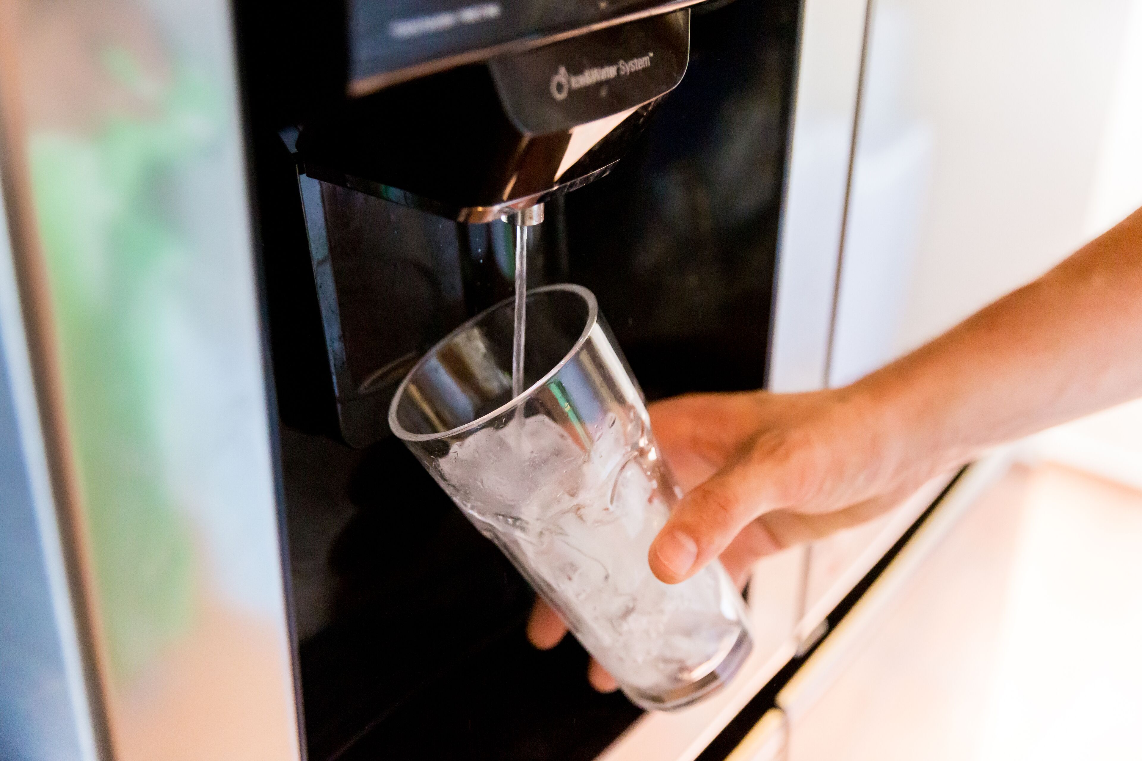 Little Jungle Apartments Aruba