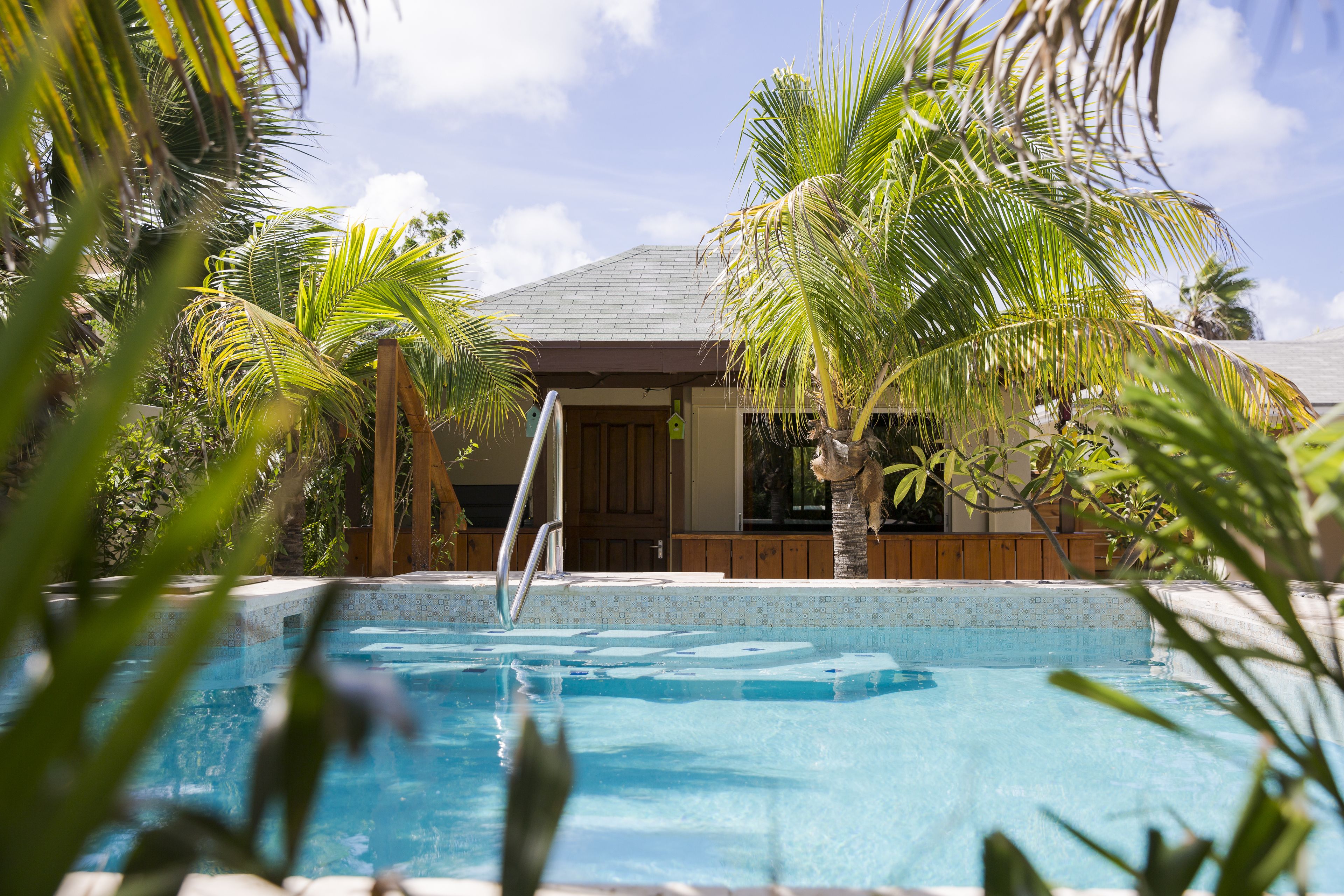 Little Jungle Apartments Aruba