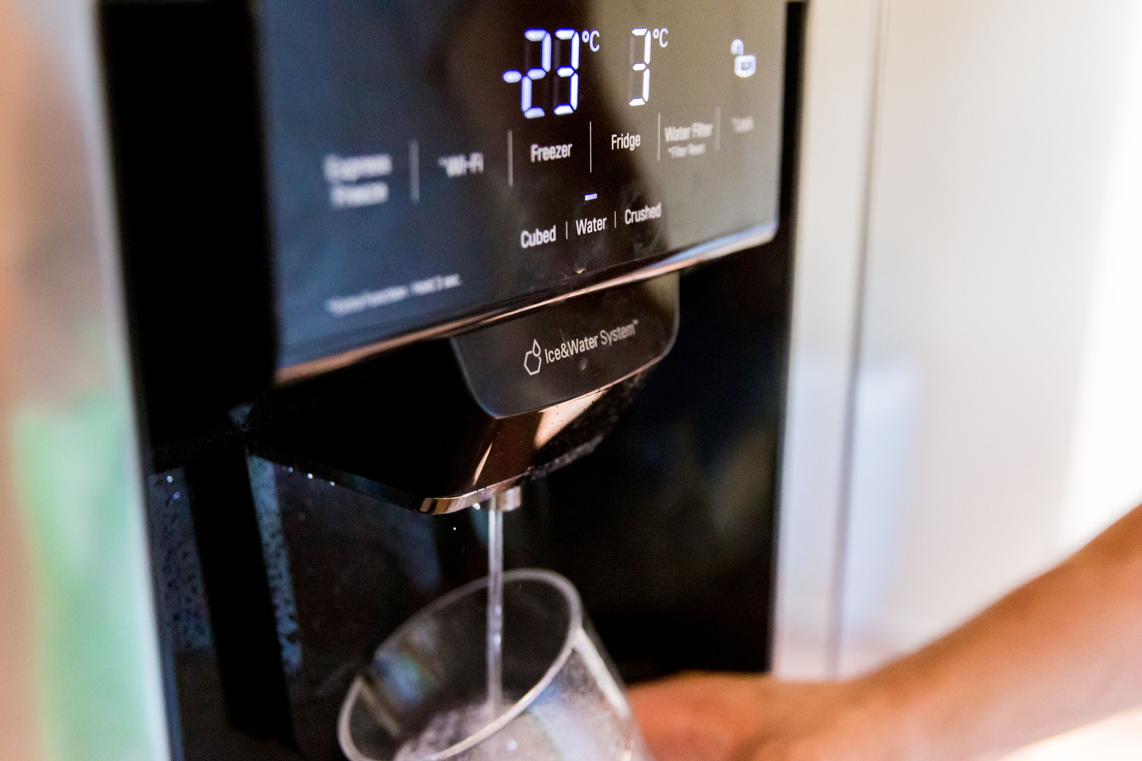 Little Jungle Apartments Aruba