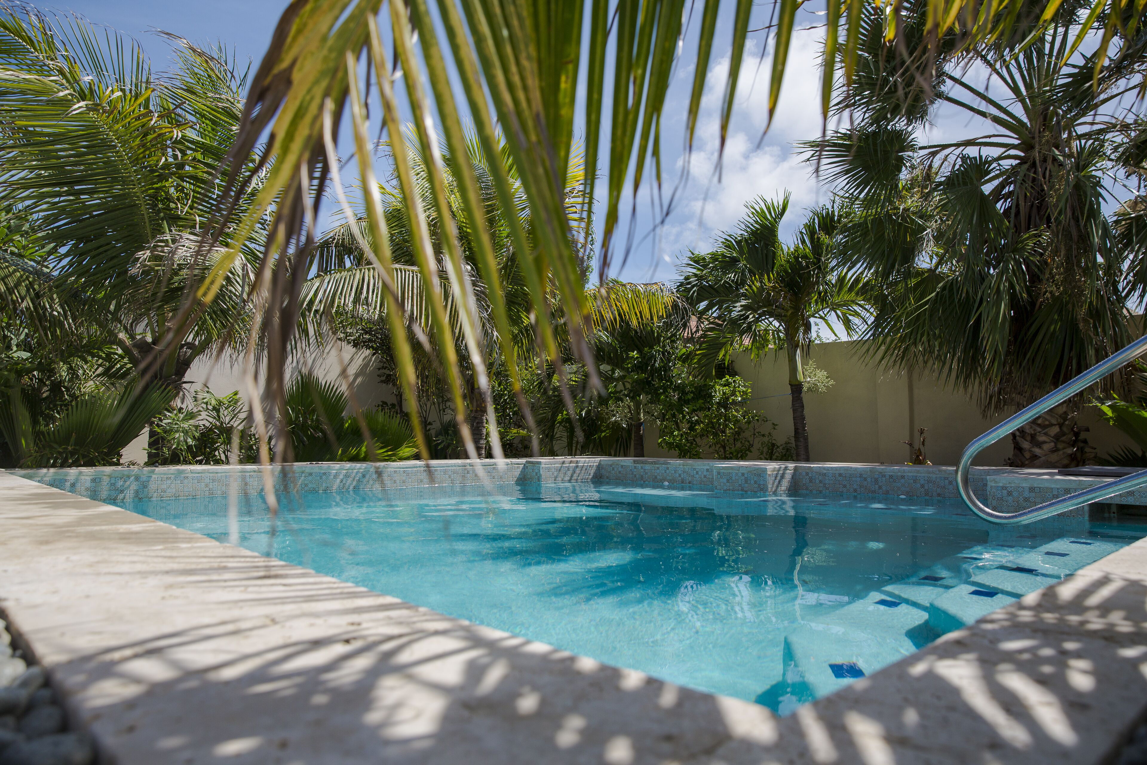 Little Jungle Apartments Aruba