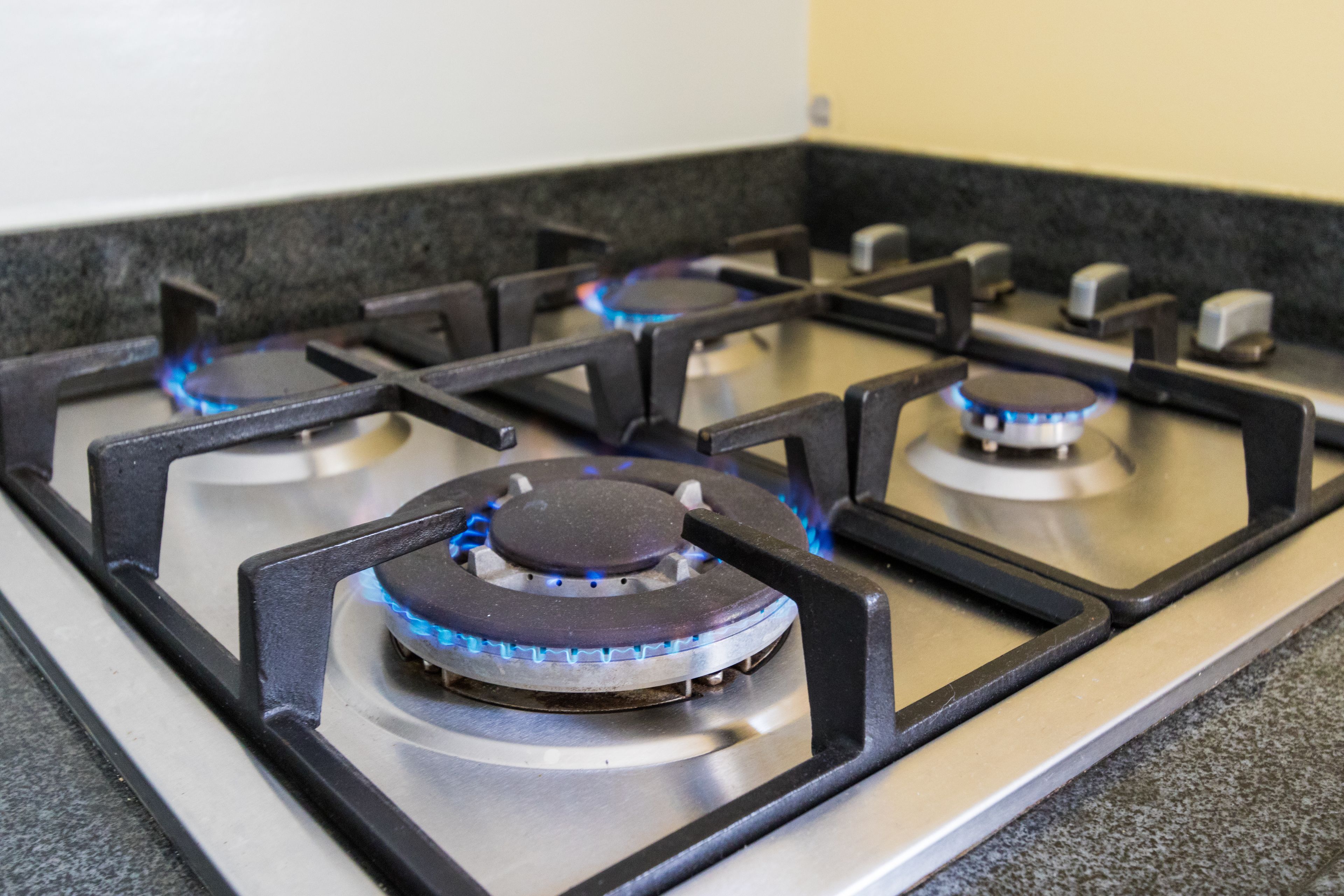 Little Jungle Apartments Aruba