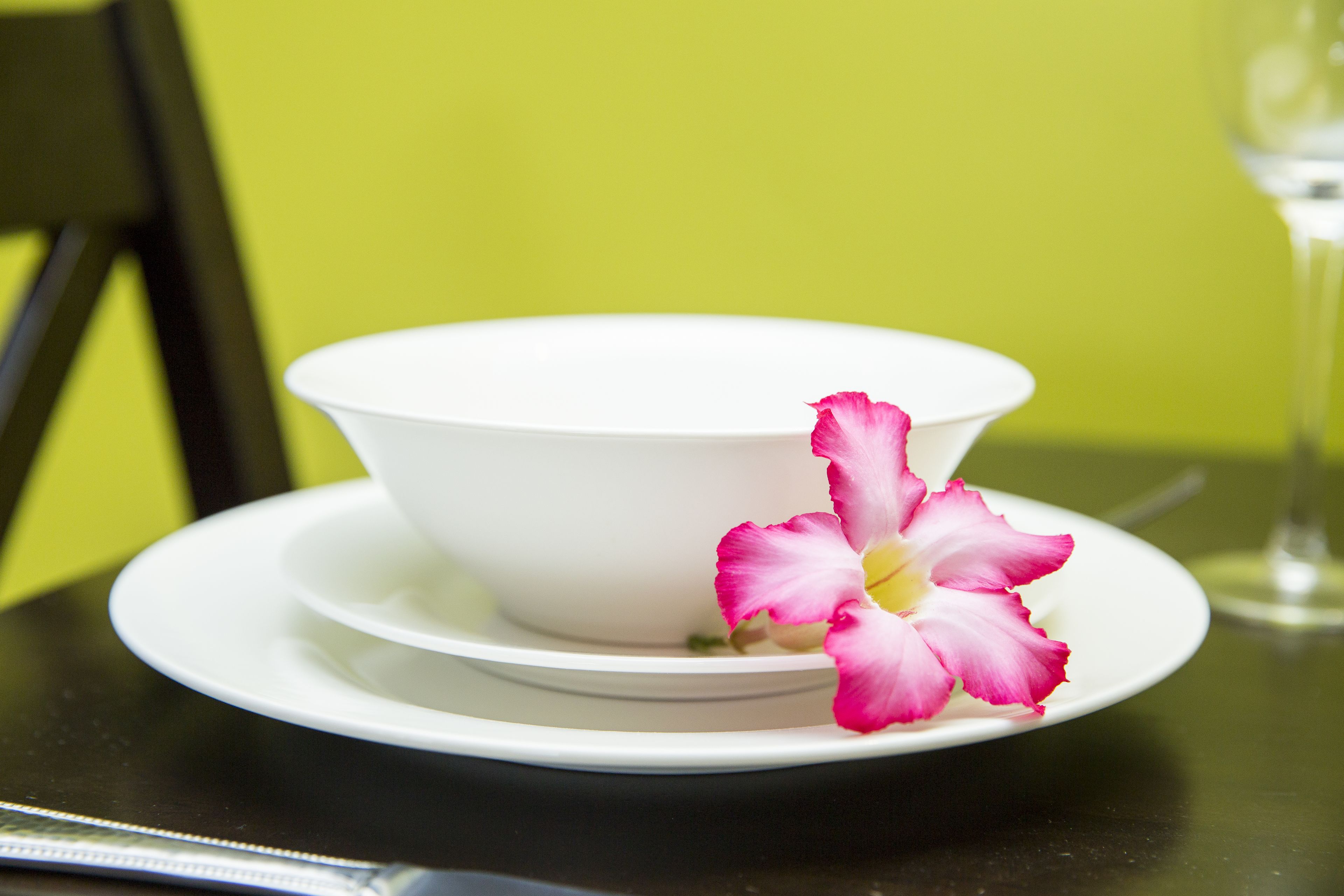 Little Jungle Apartments Aruba