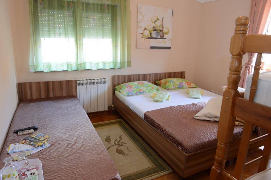 Hostel Dino