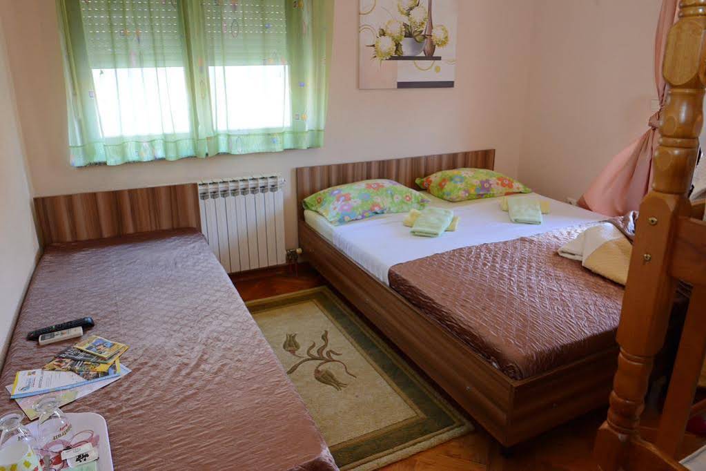 Hostel Dino