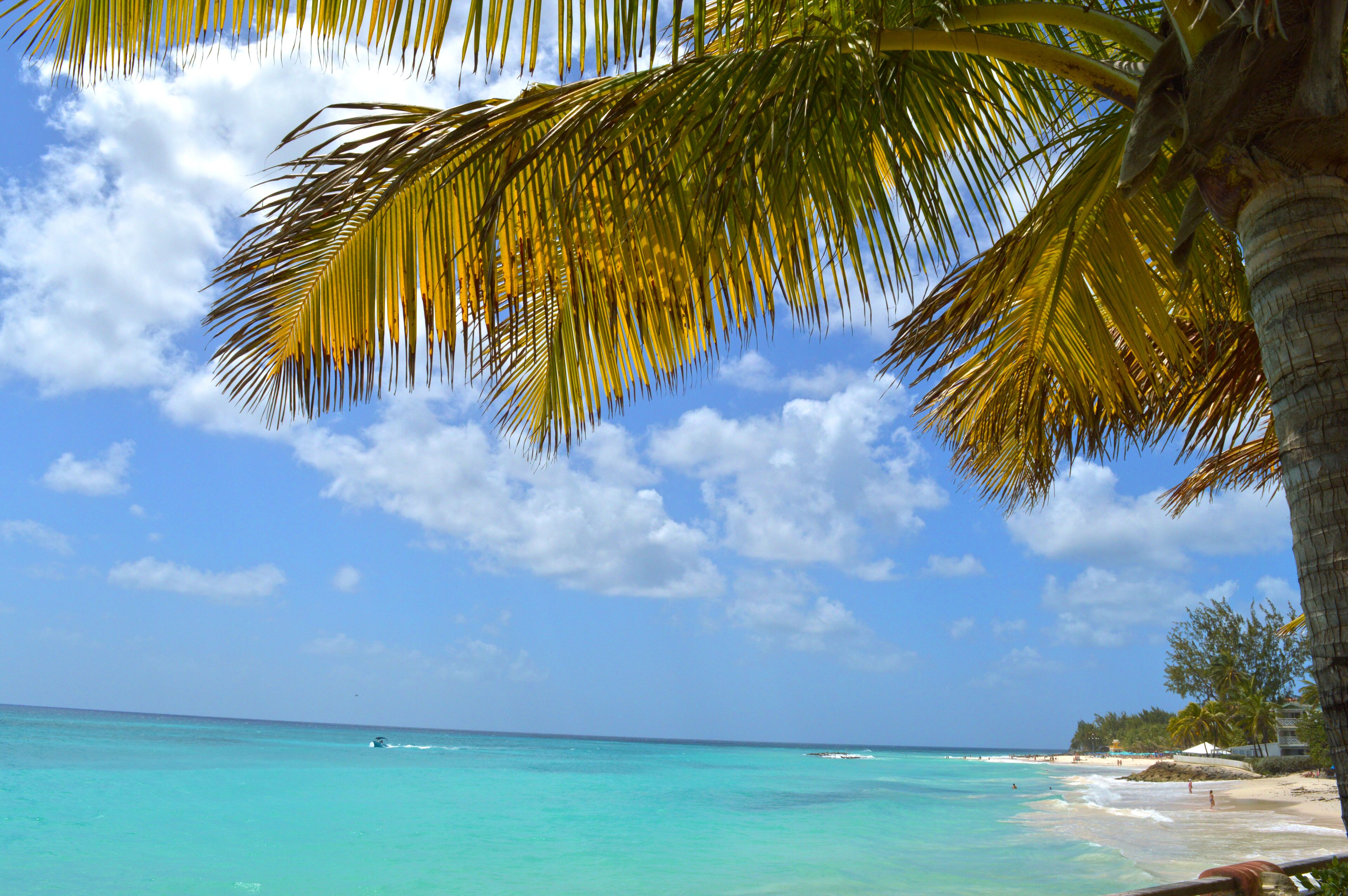 Barbados Beach Club