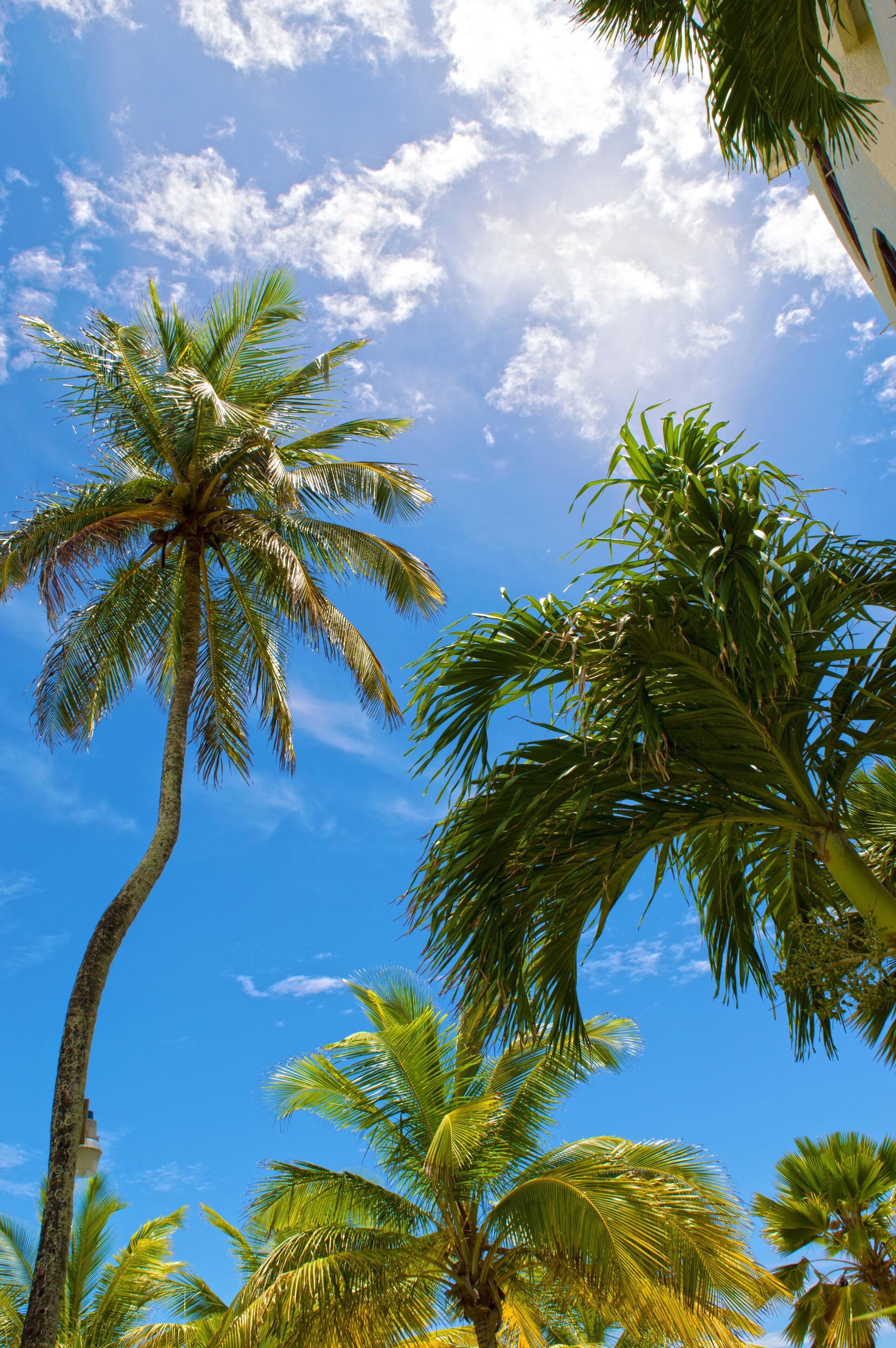 Barbados Beach Club