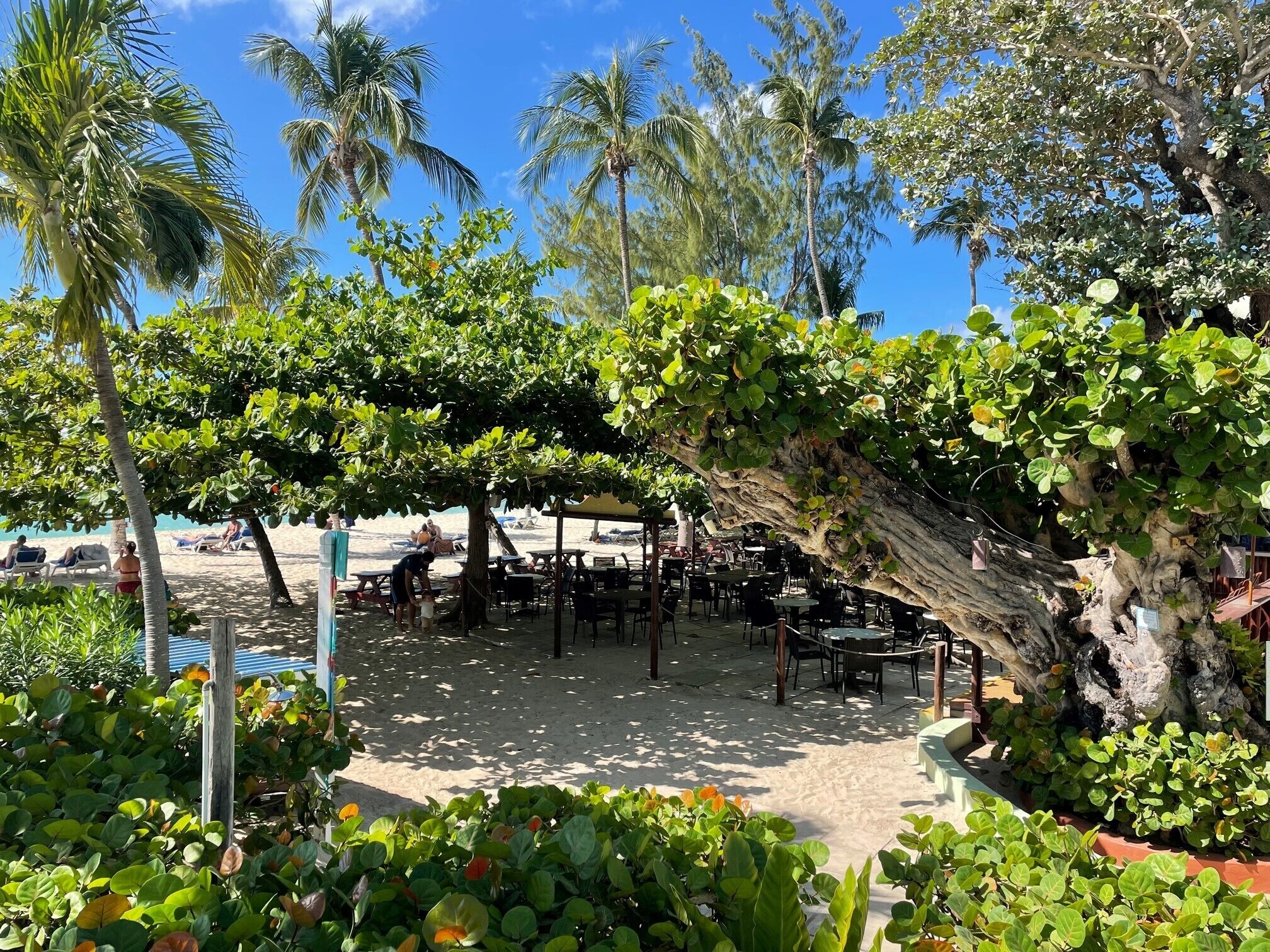 Coconut Court Beach Hotel