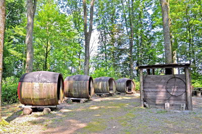 Domaine de Ronchinne - Château et Ecuries