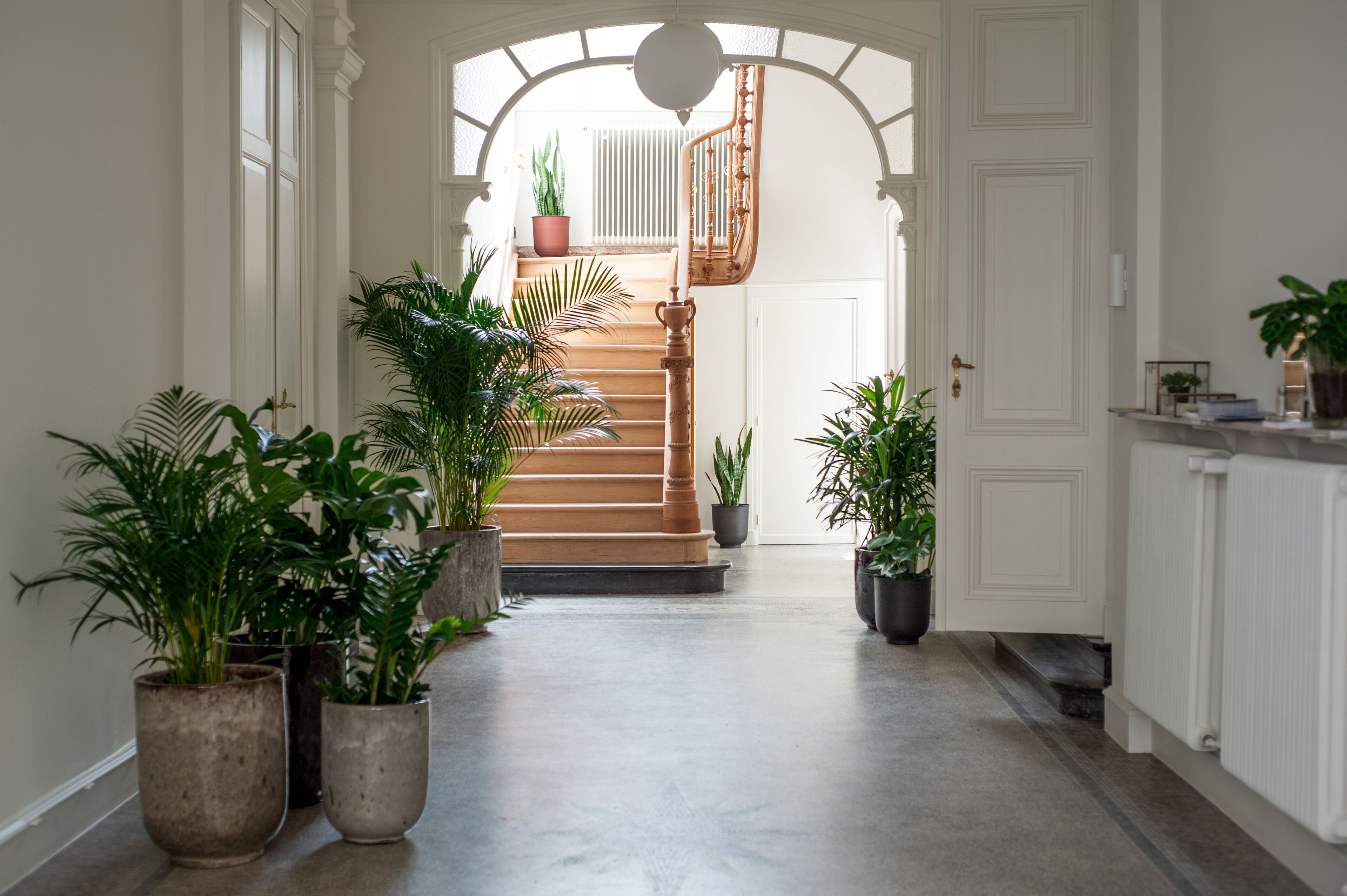 B'Guest Bed & Breakfast