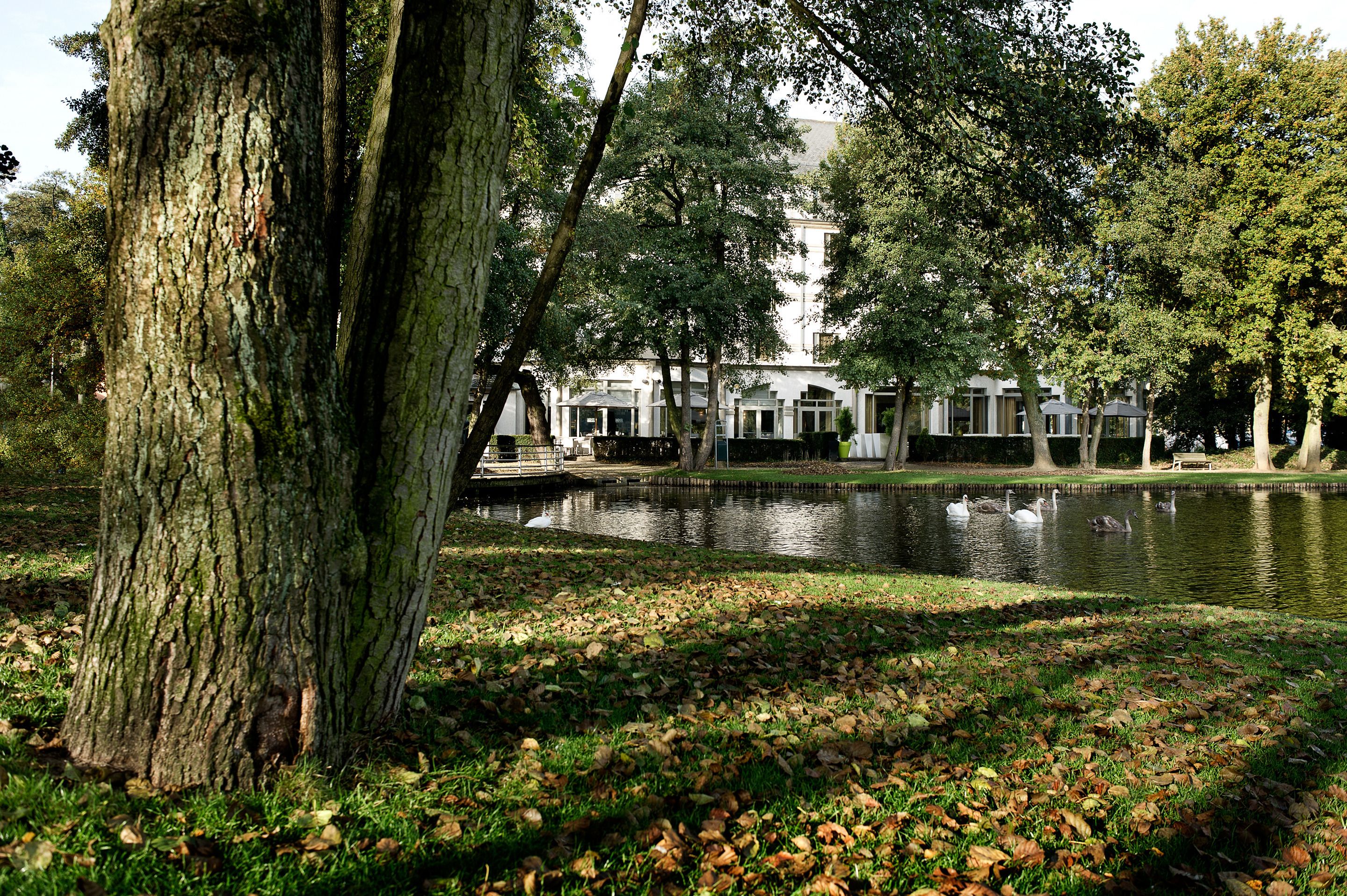 M Hotel