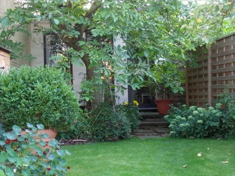 Garden In The City