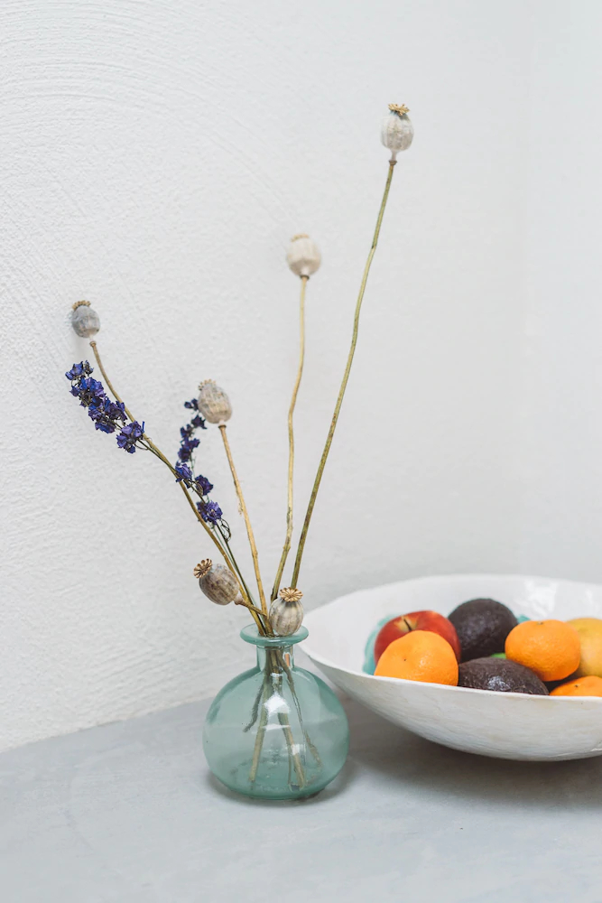 Rica Boutique House