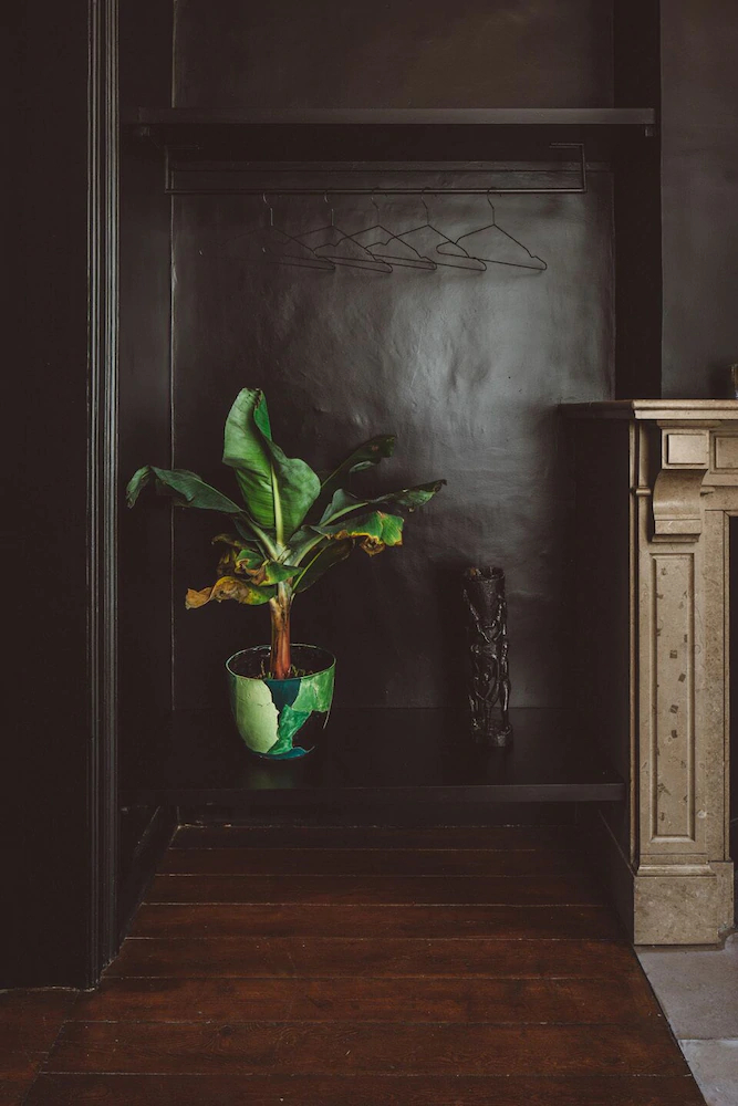 Rica Boutique House