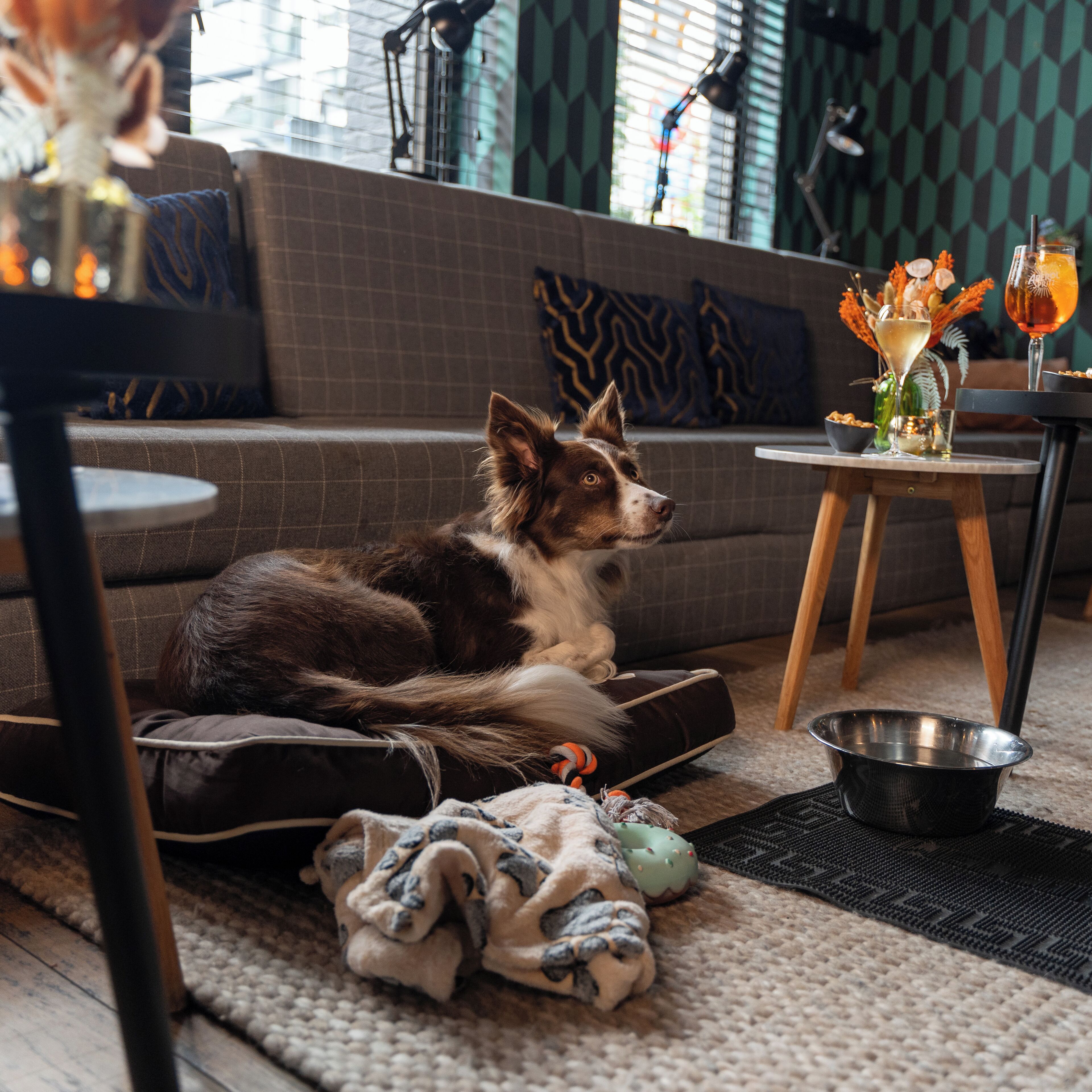 Ibis Styles Hasselt City Centre
