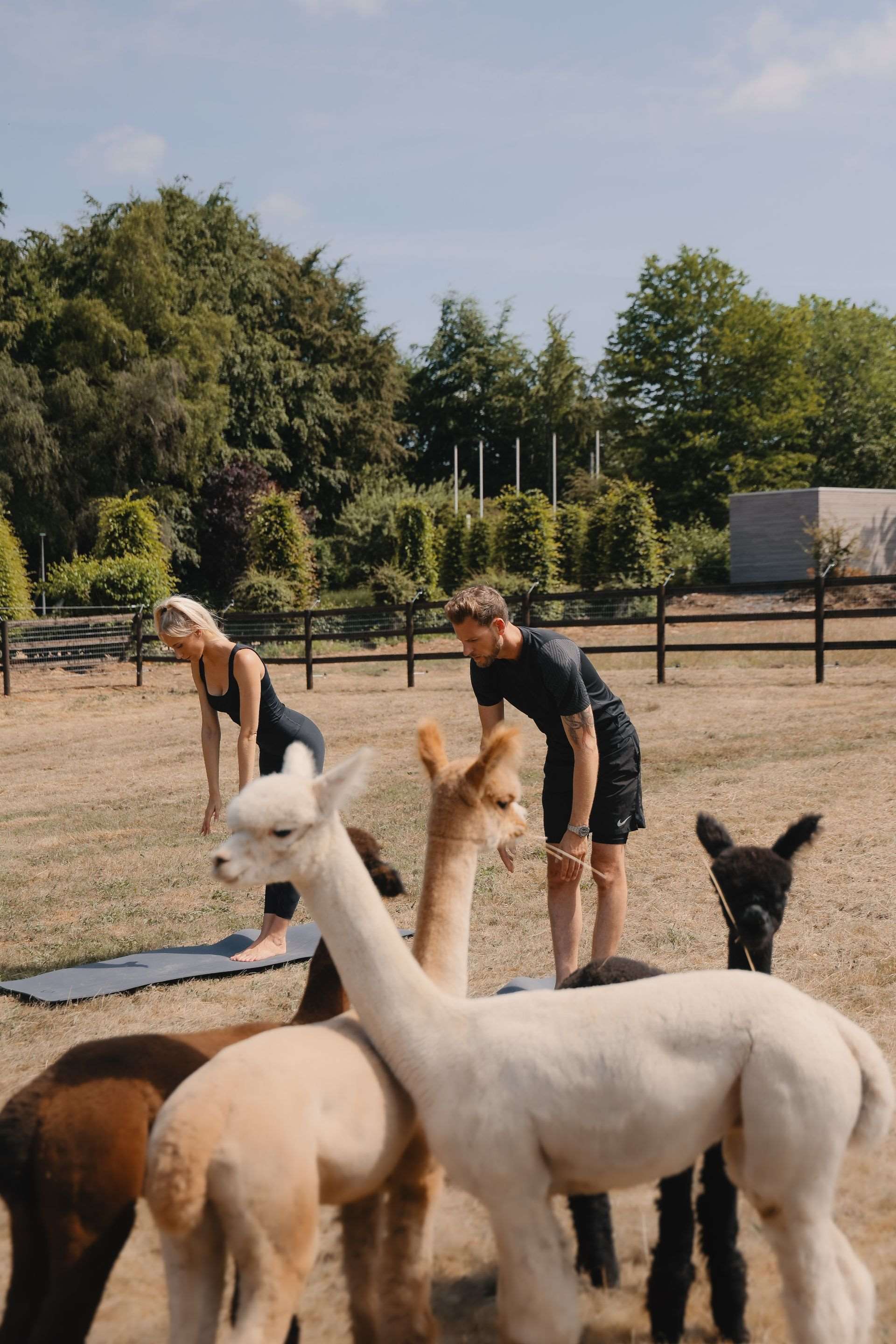Domaine des Hautes Fagnes Hotel & Spa