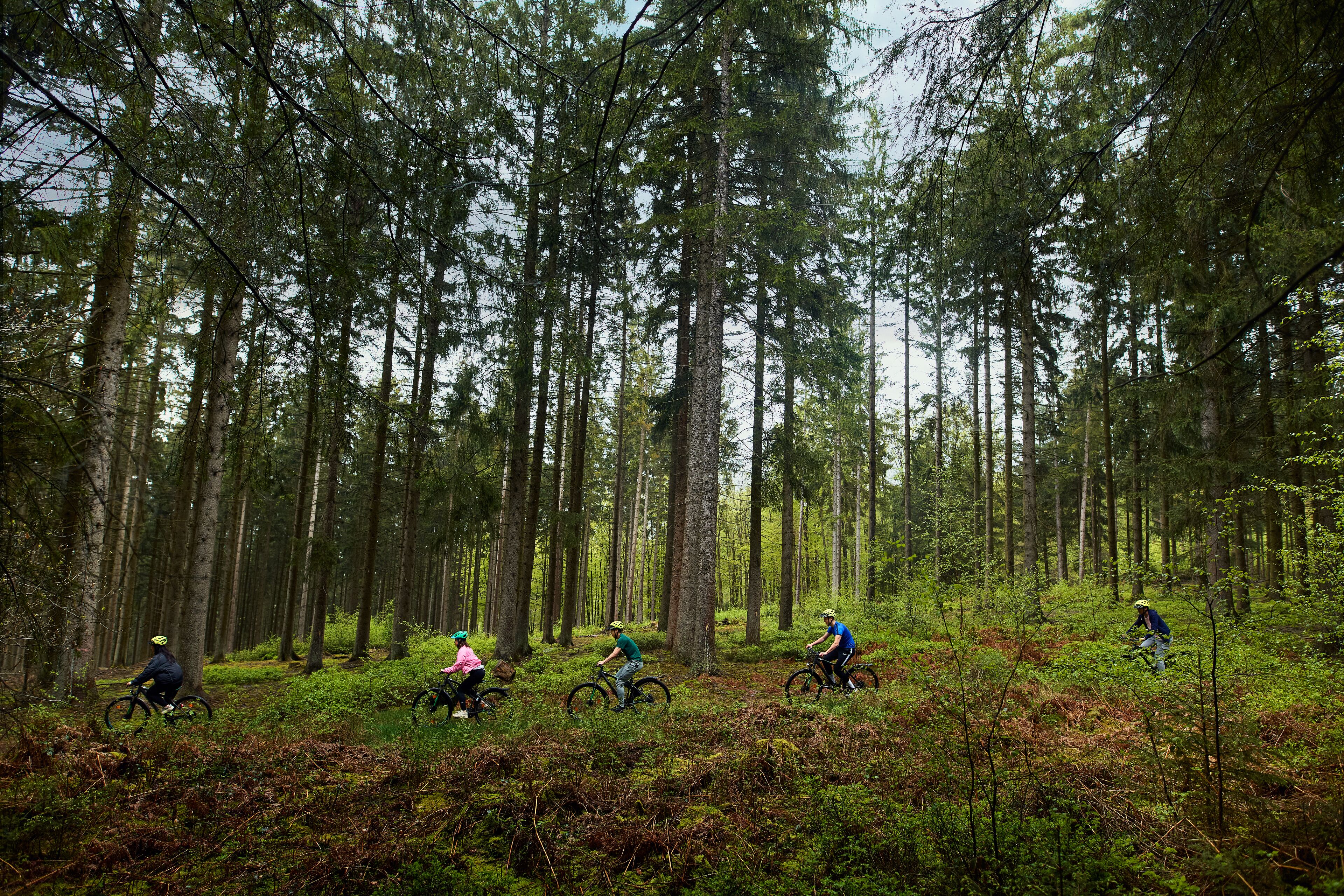 Center Parcs Les Ardennes