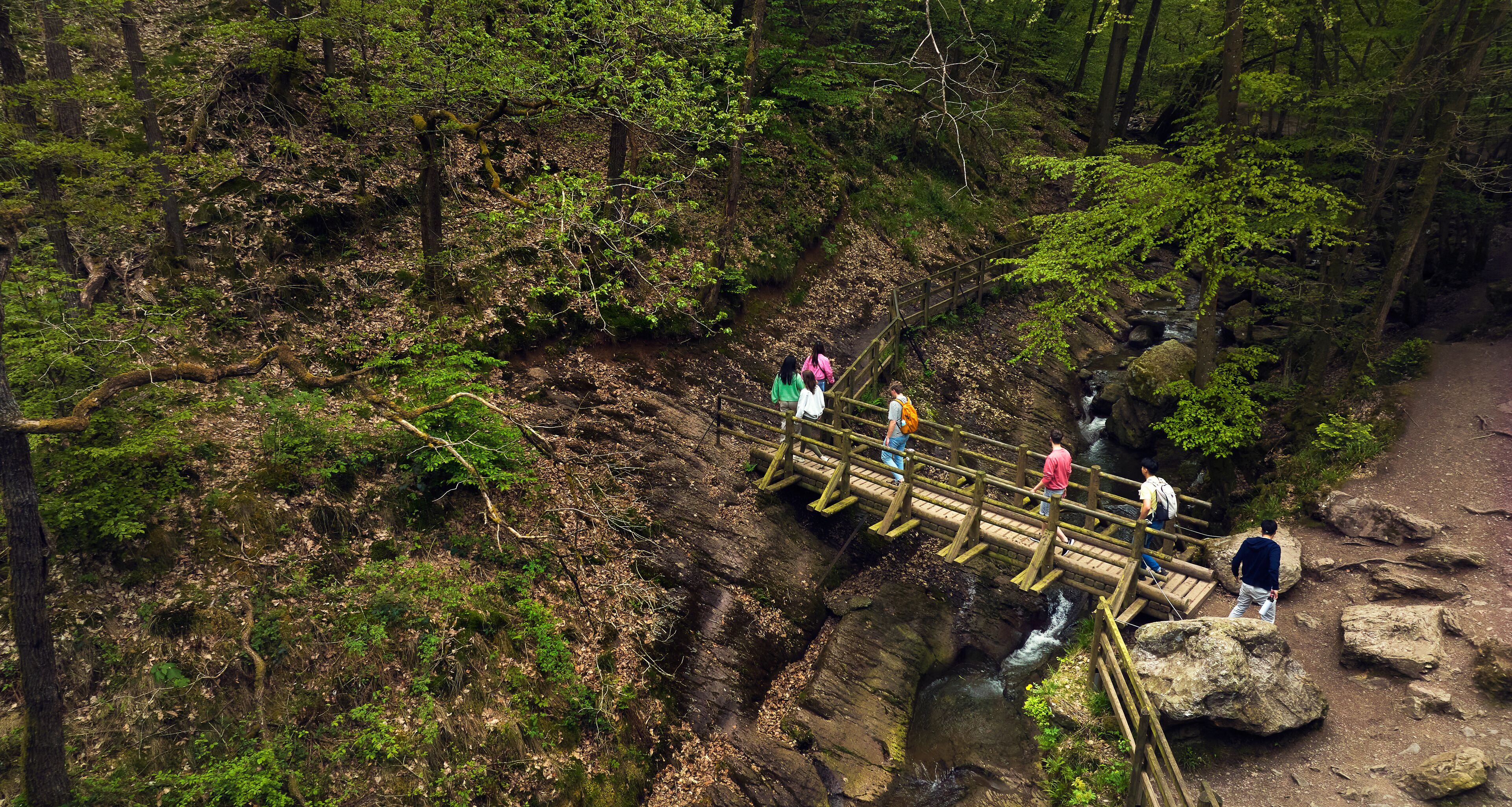 Center Parcs Les Ardennes