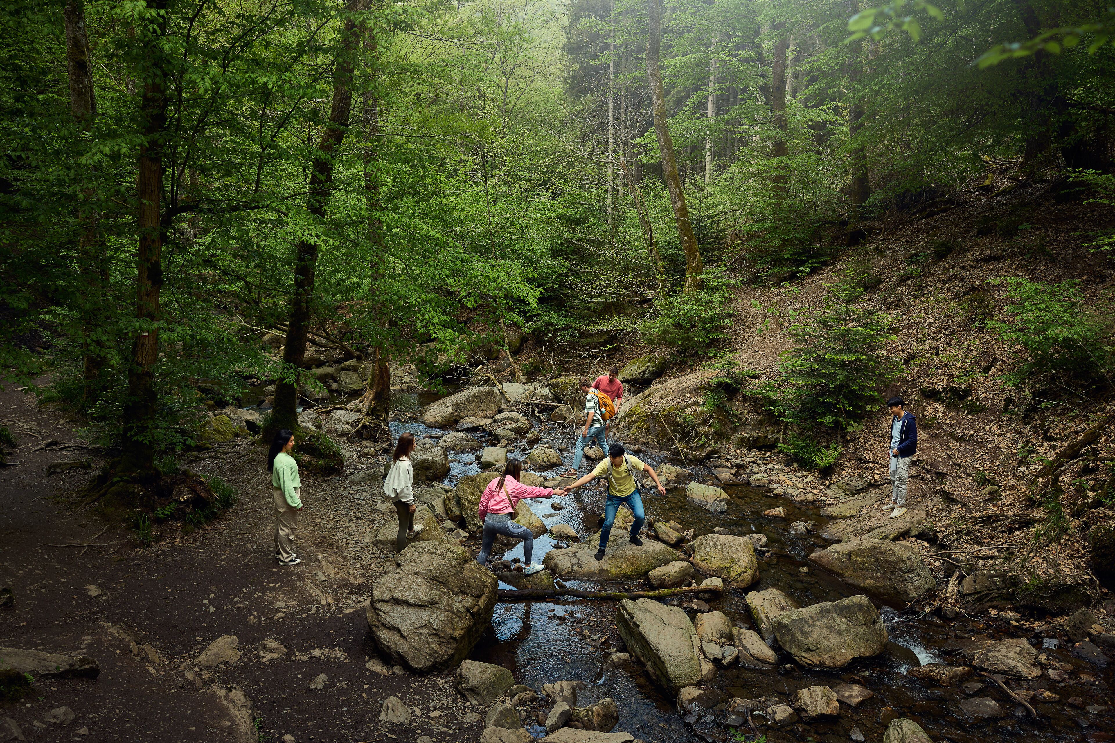 Center Parcs Les Ardennes